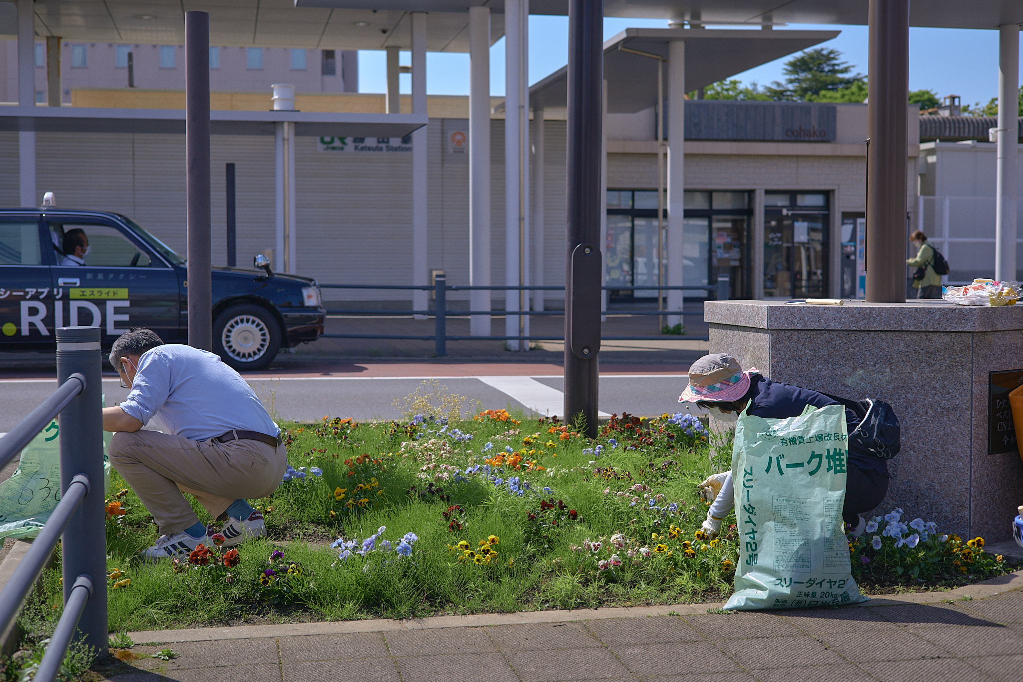 駅前花壇除草作業 ひたちなかベストライオンズクラブ 茨城 ひたちなか ライオンズクラブ