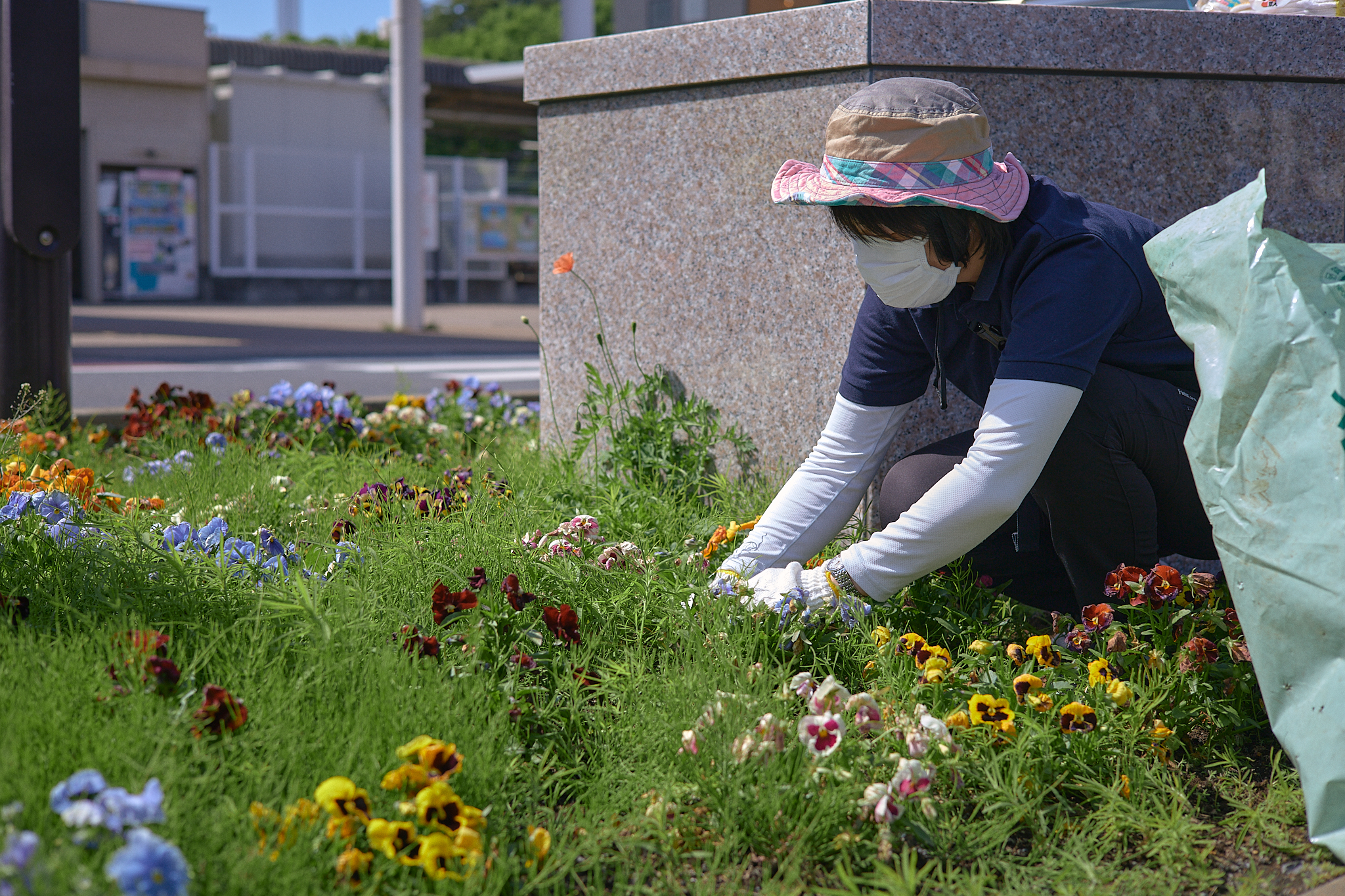 駅前花壇除草作業 ひたちなかベストライオンズクラブ 茨城 ひたちなか ライオンズクラブ