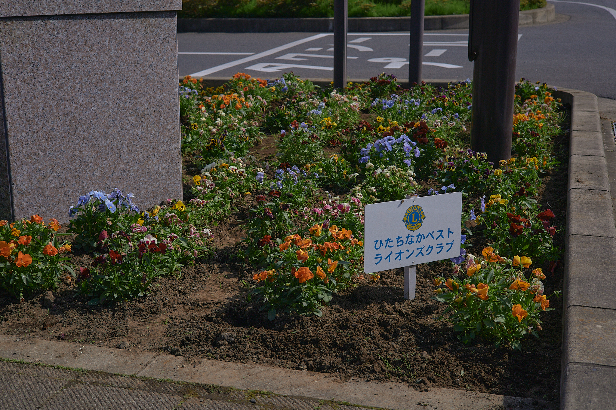 駅前花壇除草作業 ひたちなかベストライオンズクラブ 茨城 ひたちなか ライオンズクラブ