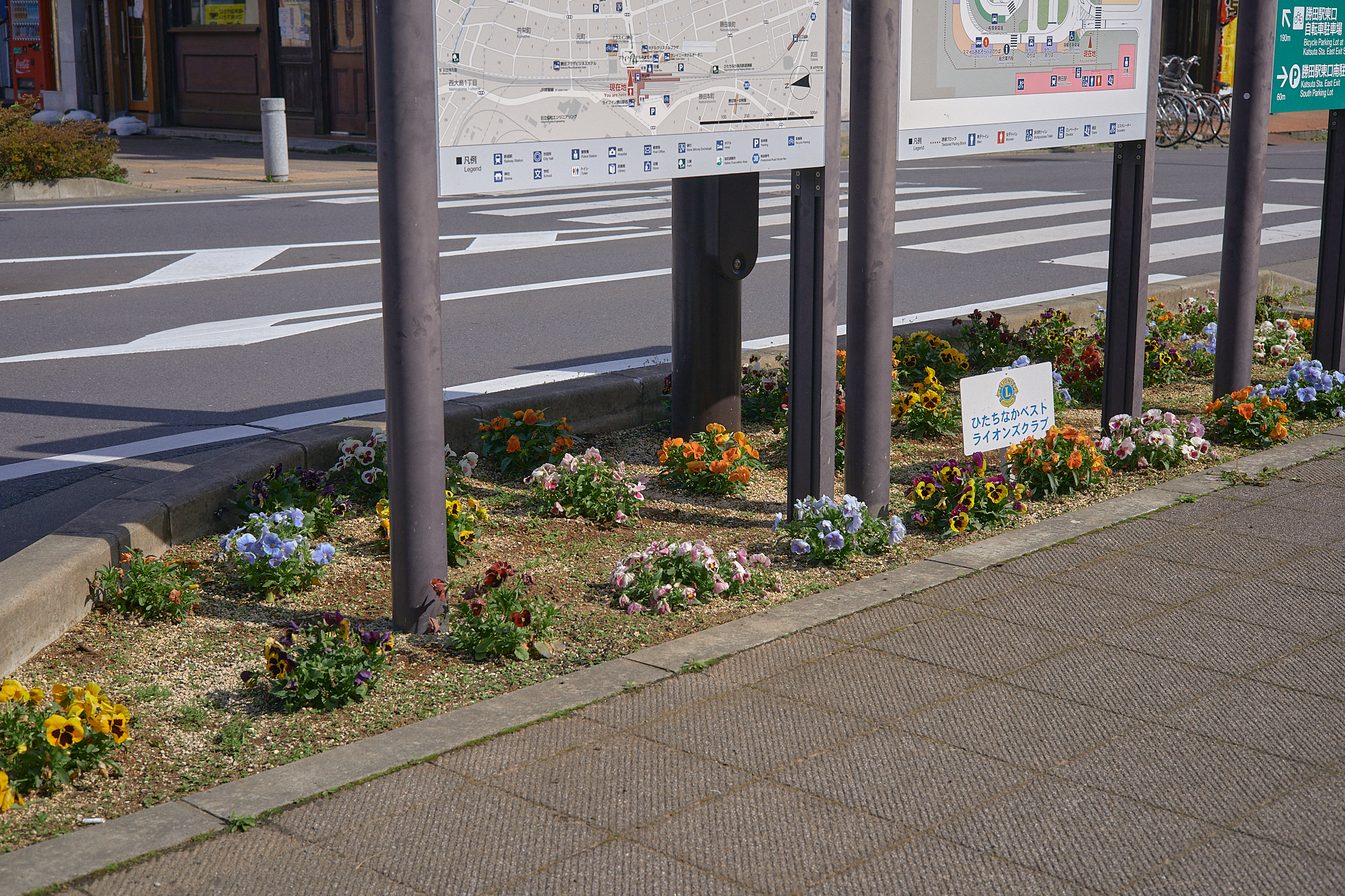 駅前花壇除草作業 ひたちなかベストライオンズクラブ 茨城 ひたちなか ライオンズクラブ