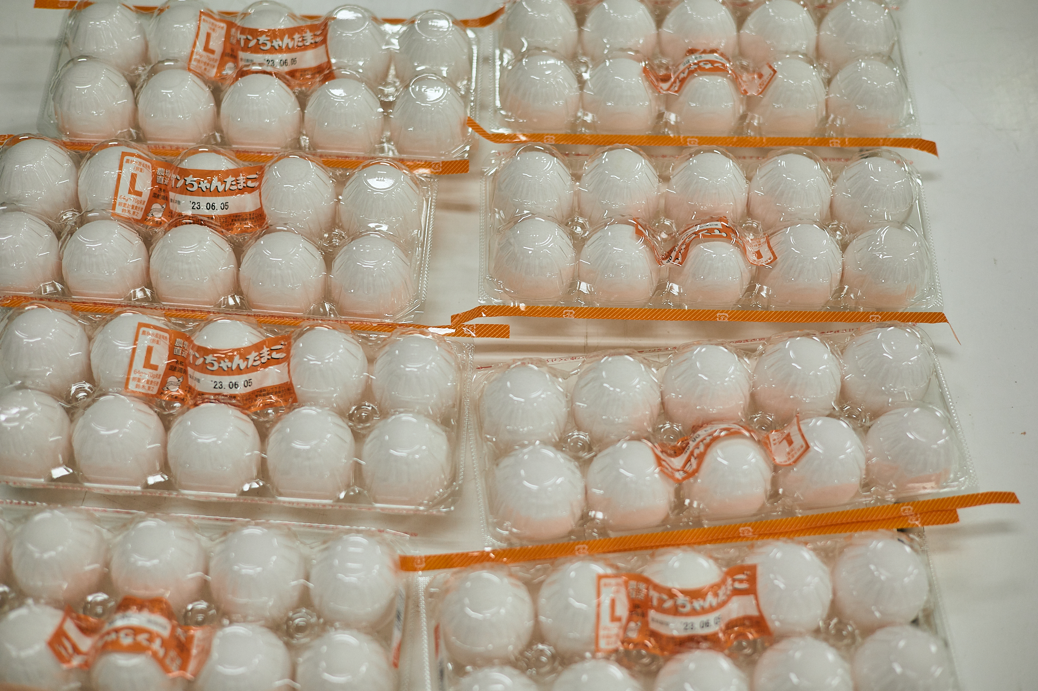 献血事業 ひたちなかベストライオンズクラブ