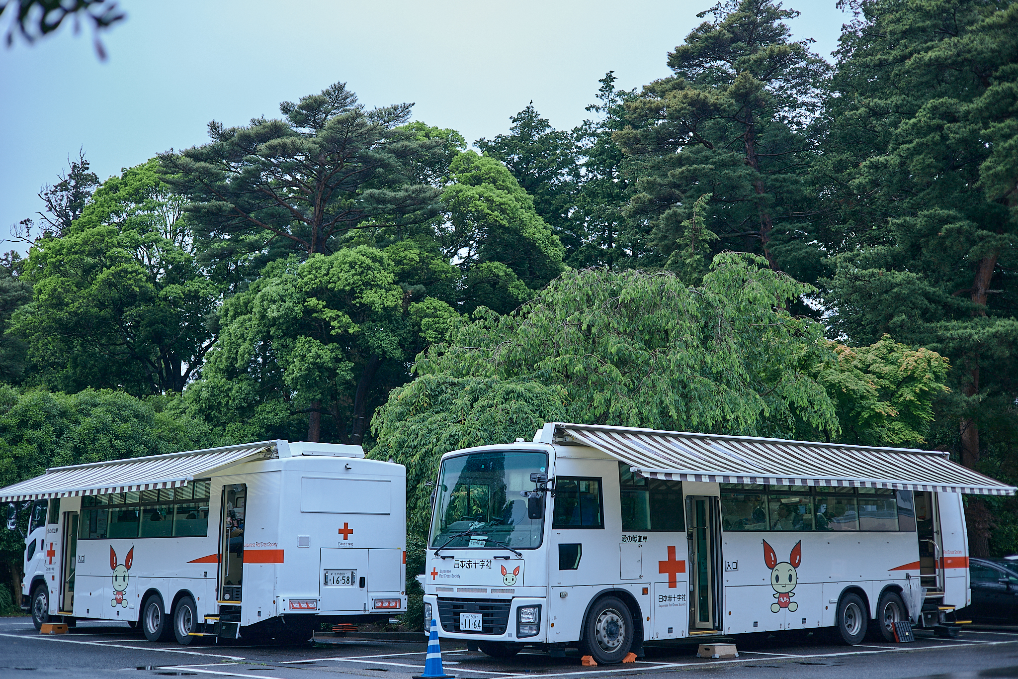 献血事業 ひたちなかベストライオンズクラブ