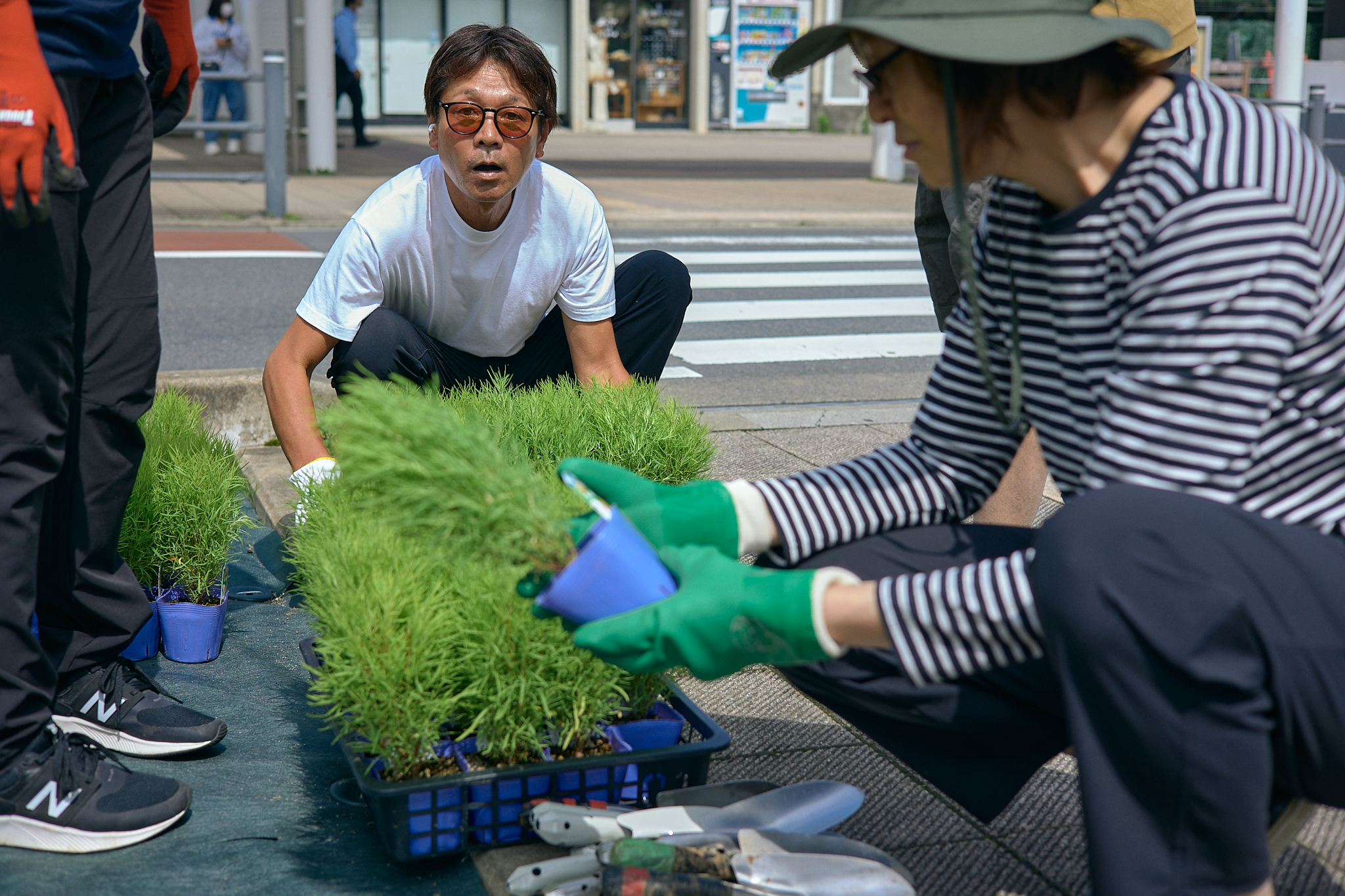 勝田駅前花壇コキア植栽作業 ひたちなかベストライオンズクラブ 茨城
