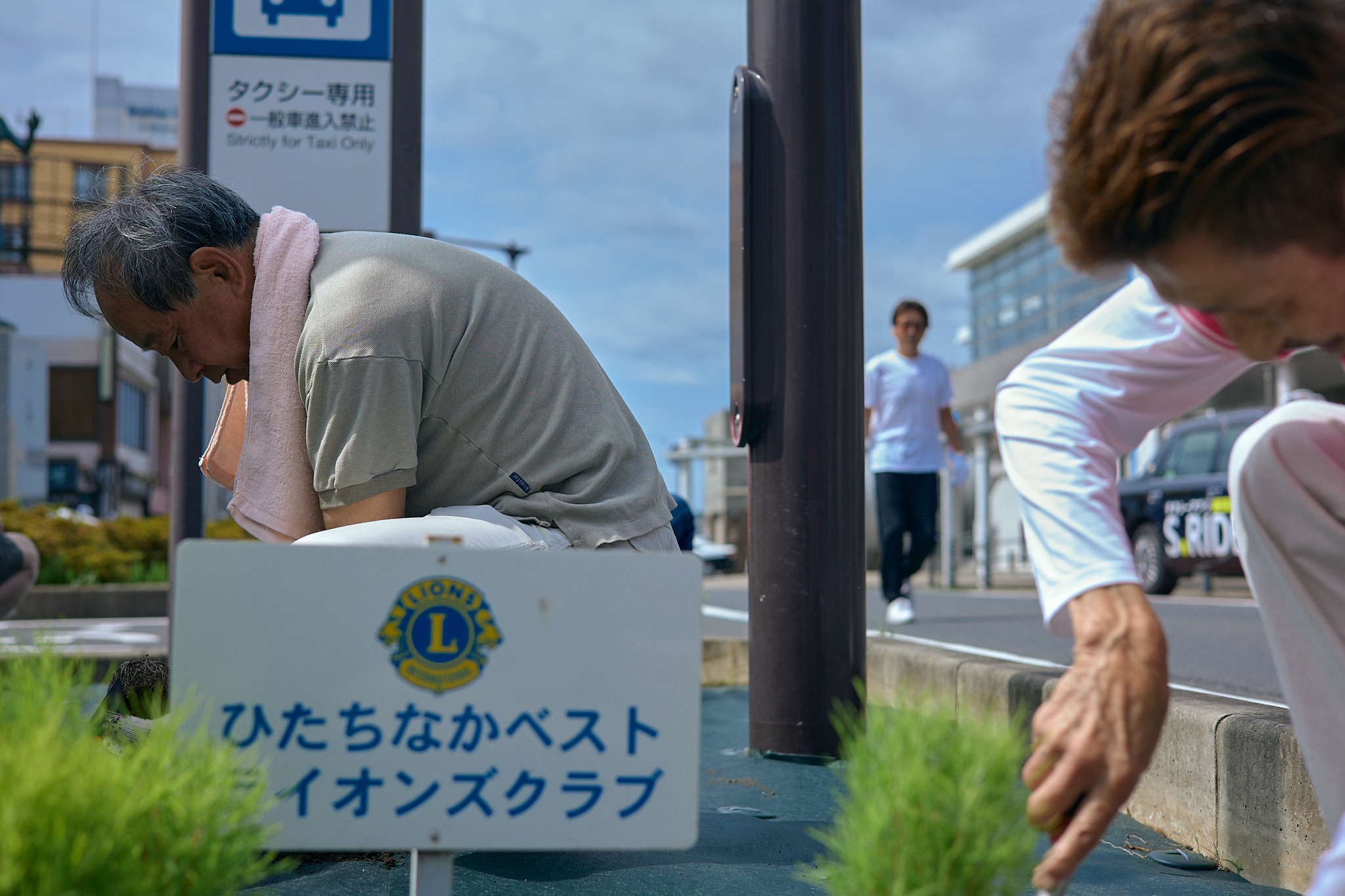 勝田駅前花壇コキア植栽作業 ひたちなかベストライオンズクラブ 茨城