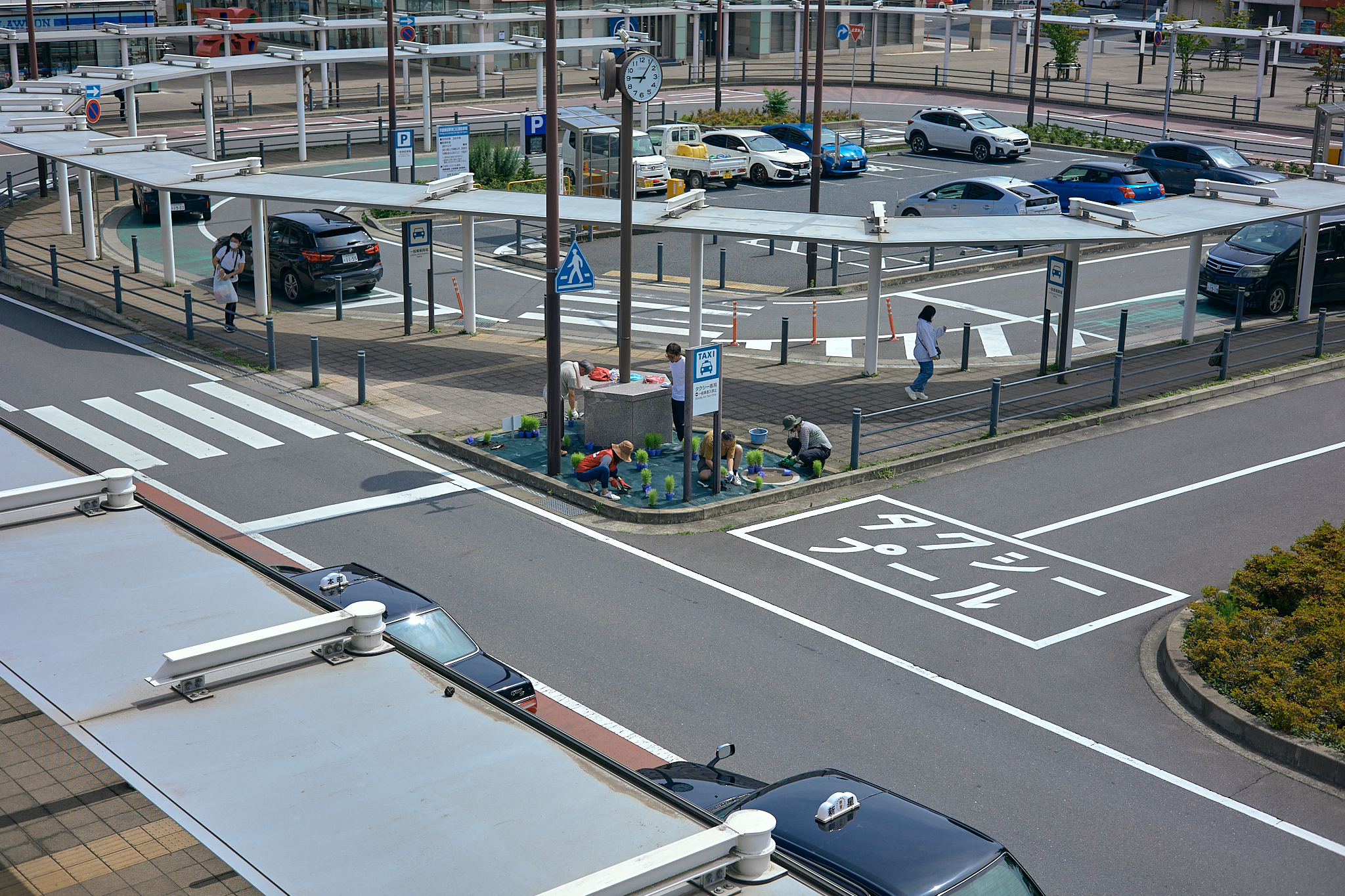 勝田駅前花壇コキア植栽作業 ひたちなかベストライオンズクラブ 茨城