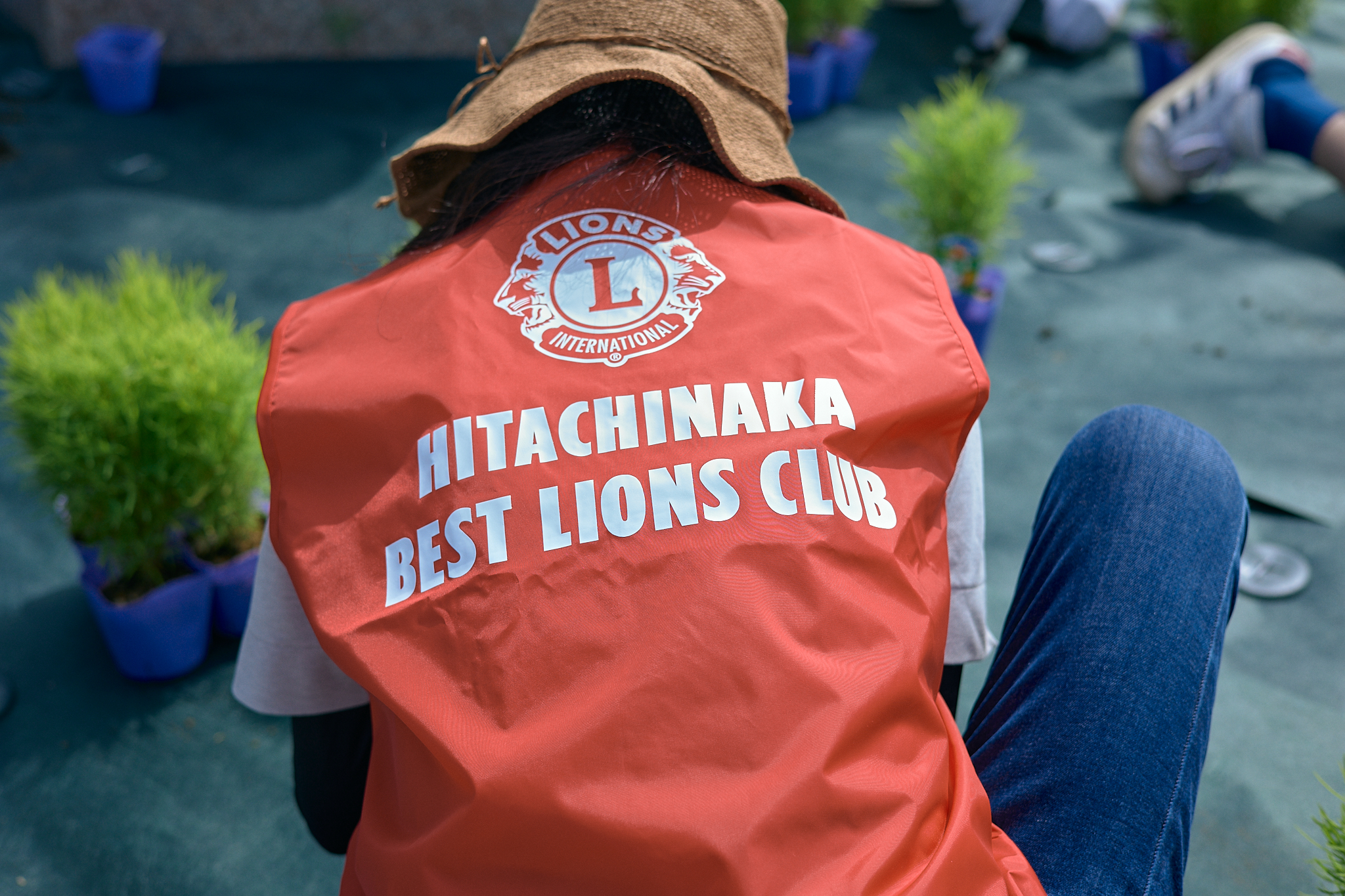 勝田駅前花壇コキア植栽作業 ひたちなかベストライオンズクラブ 茨城