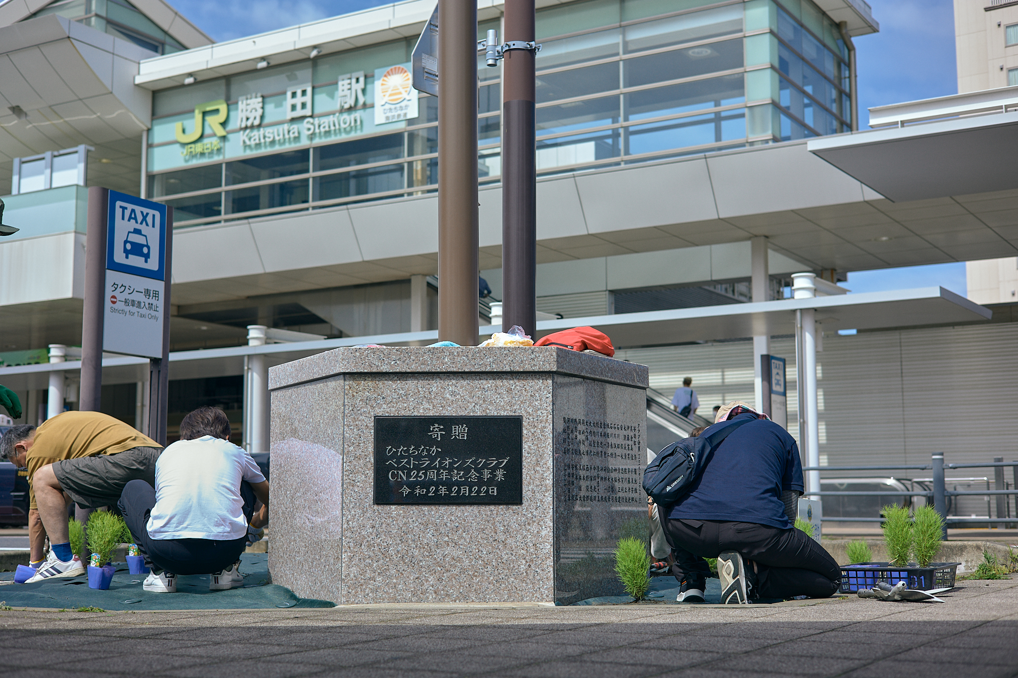 勝田駅前花壇コキア植栽作業 ひたちなかベストライオンズクラブ 茨城