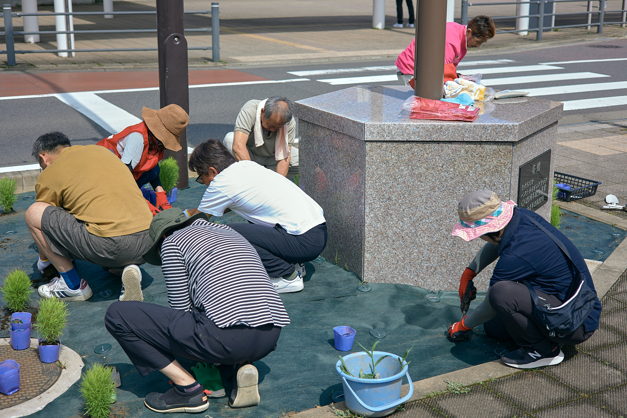 勝田駅前花壇コキア植栽作業 ひたちなかベストライオンズクラブ 茨城