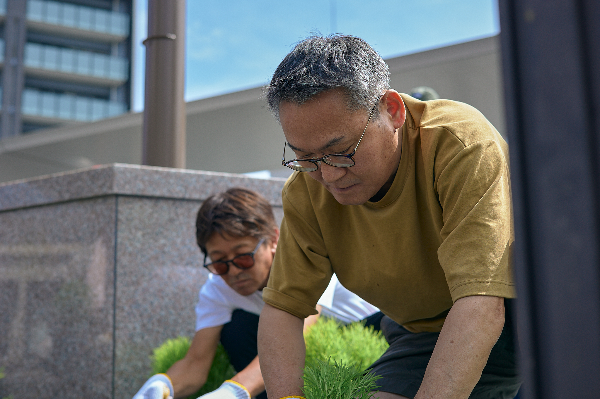 勝田駅前花壇コキア植栽作業 ひたちなかベストライオンズクラブ 茨城