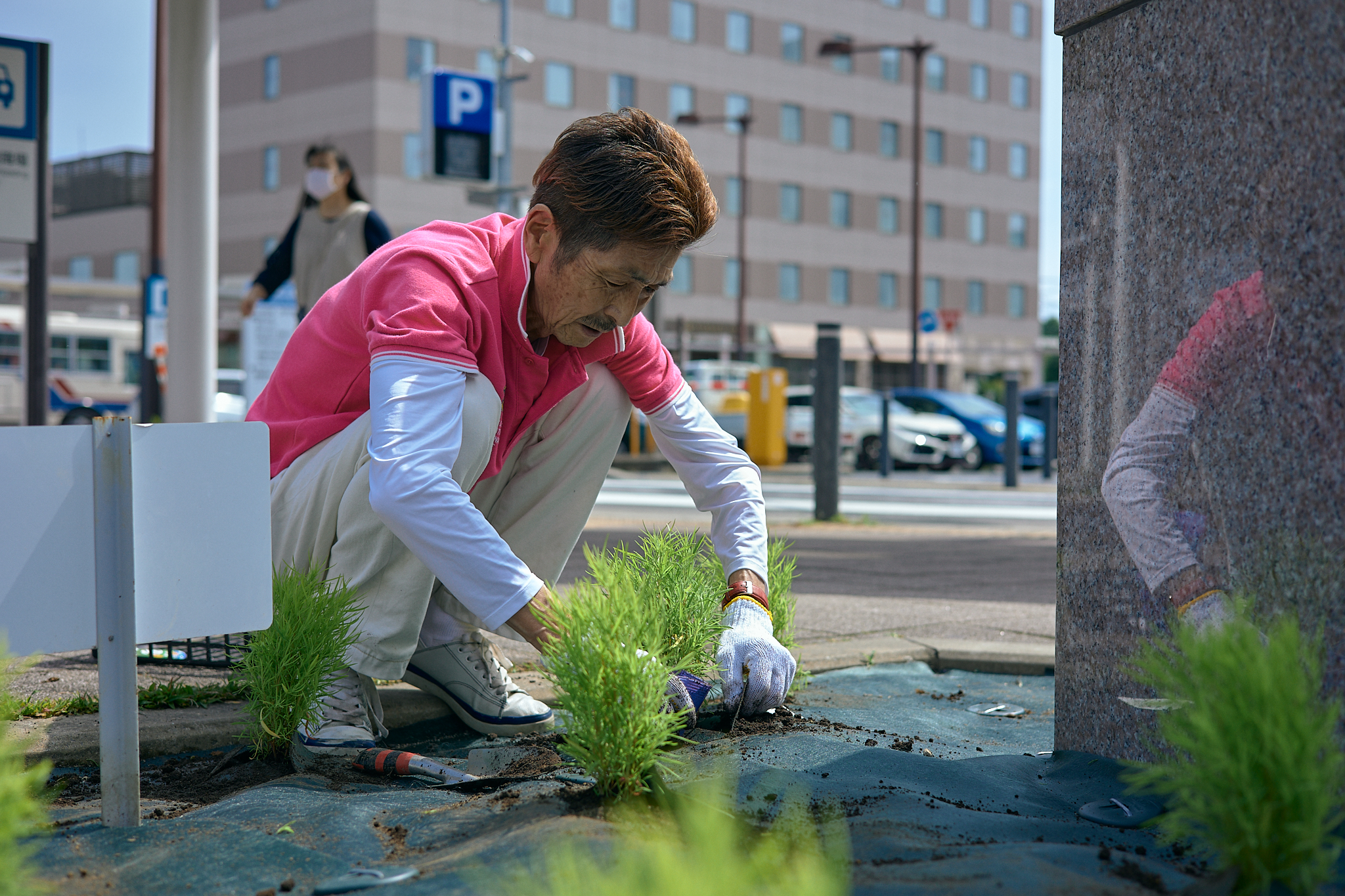 勝田駅前花壇コキア植栽作業 ひたちなかベストライオンズクラブ 茨城