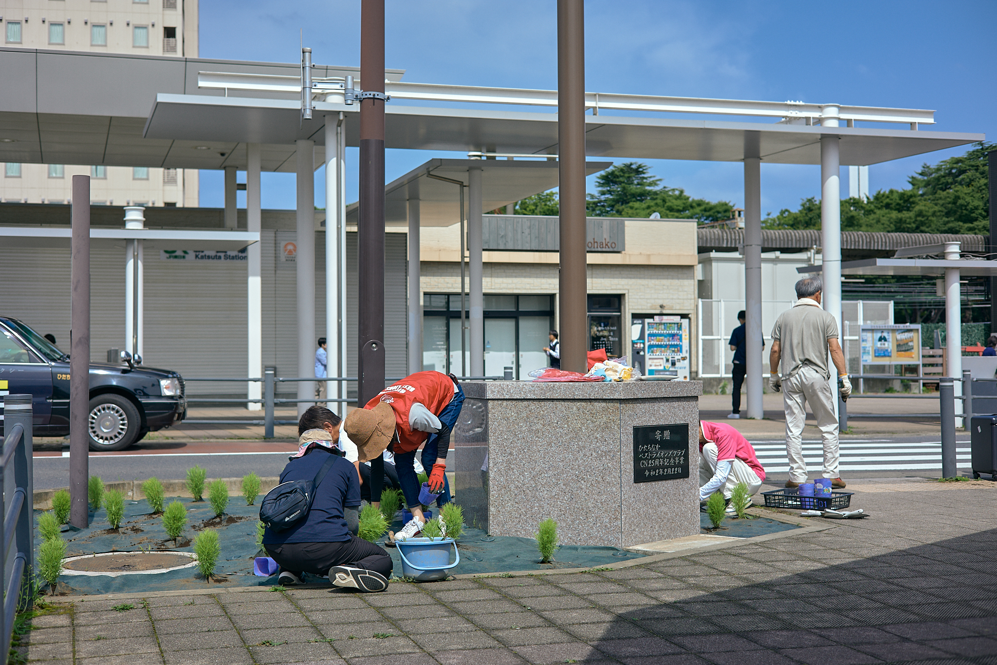 勝田駅前花壇コキア植栽作業 ひたちなかベストライオンズクラブ 茨城
