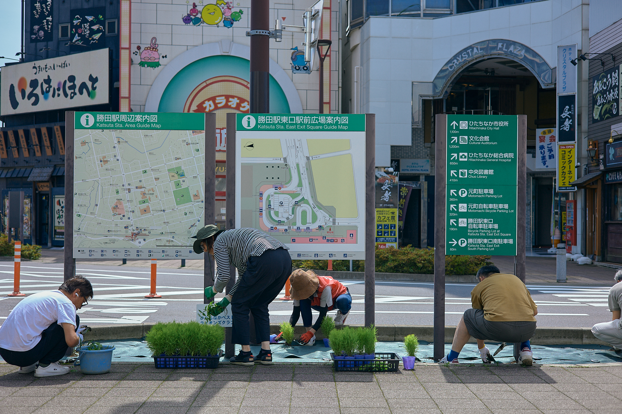 勝田駅前花壇コキア植栽作業 ひたちなかベストライオンズクラブ 茨城