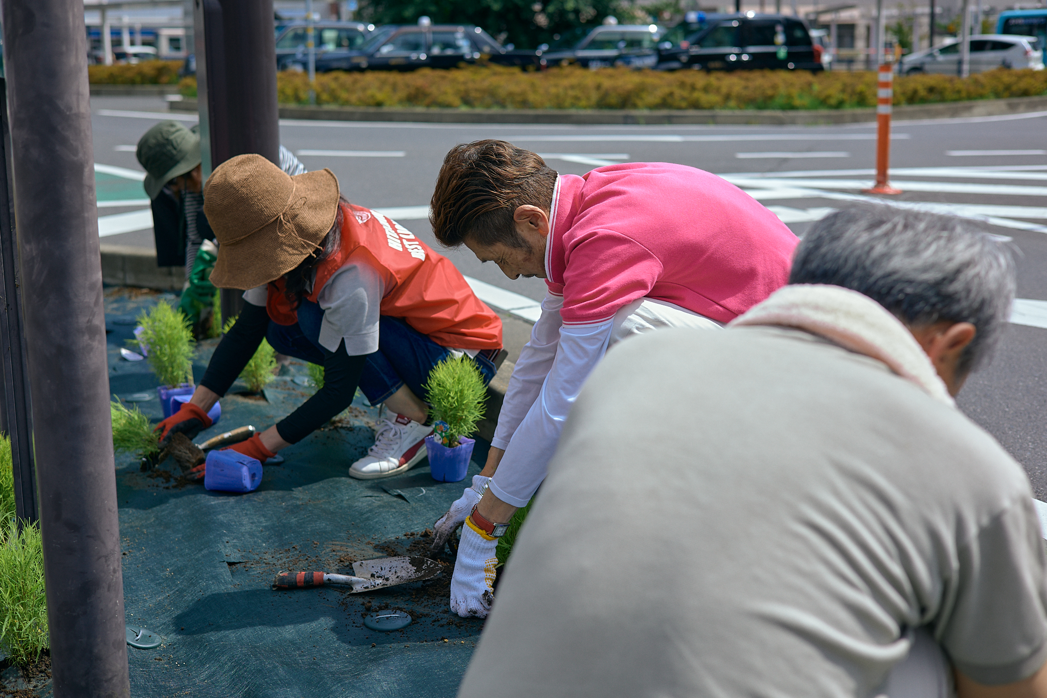 勝田駅前花壇コキア植栽作業 ひたちなかベストライオンズクラブ 茨城