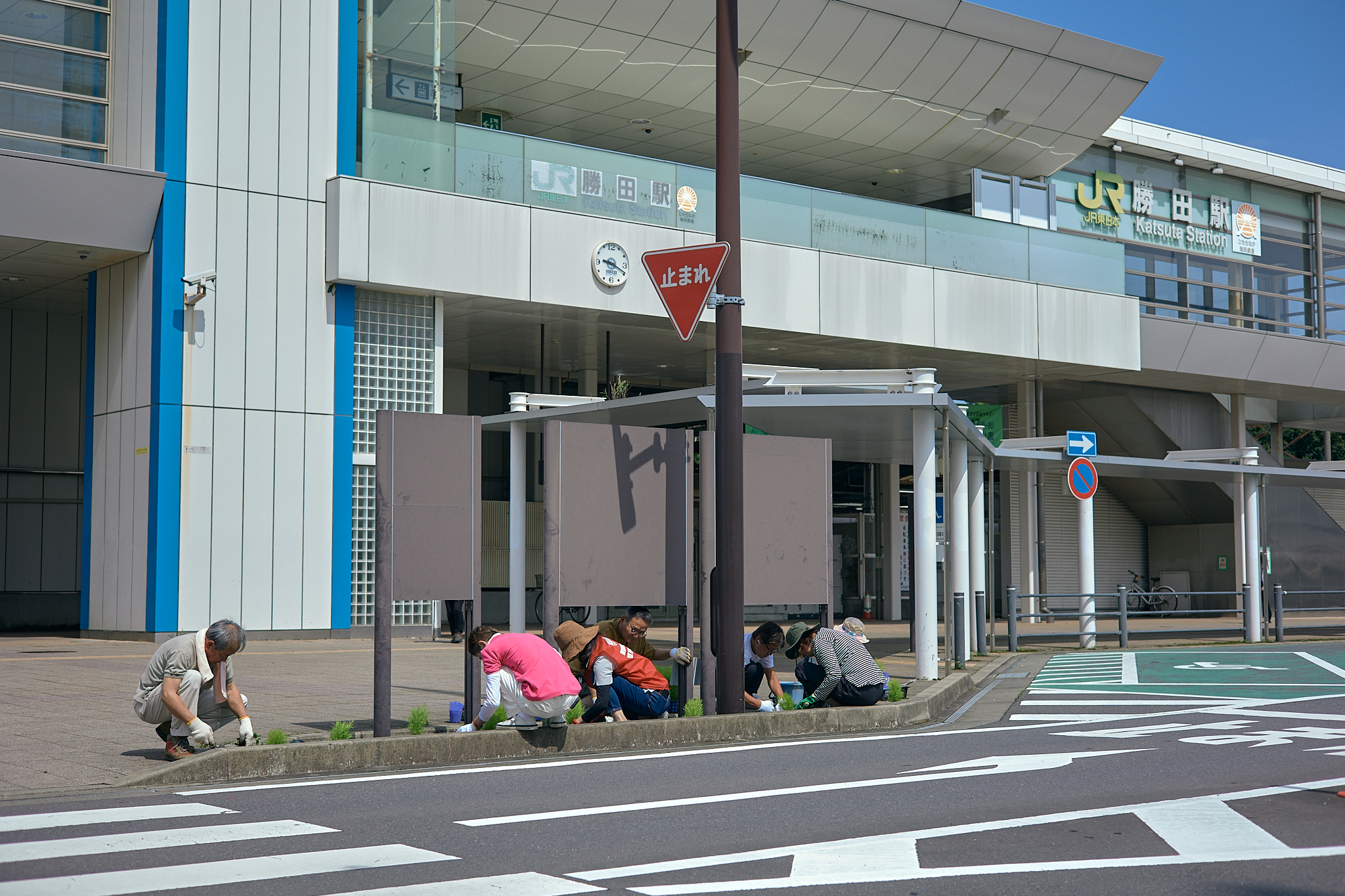 勝田駅前花壇コキア植栽作業 ひたちなかベストライオンズクラブ 茨城