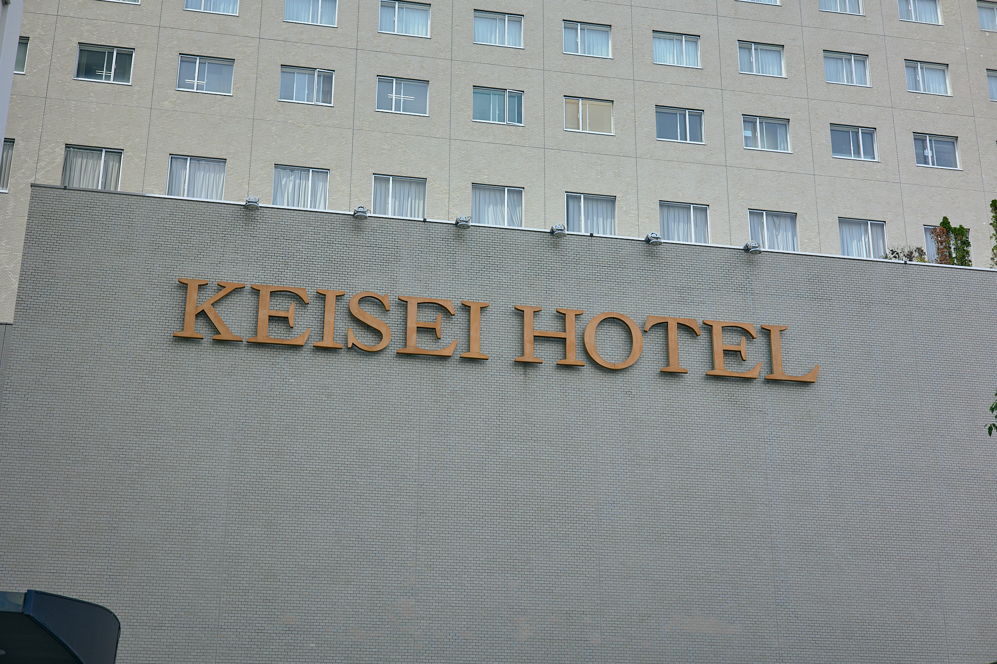 公益財団法人茨城県アイバンク設立40周年記念式典 ひたちなかベストライオンズクラブ 茨城