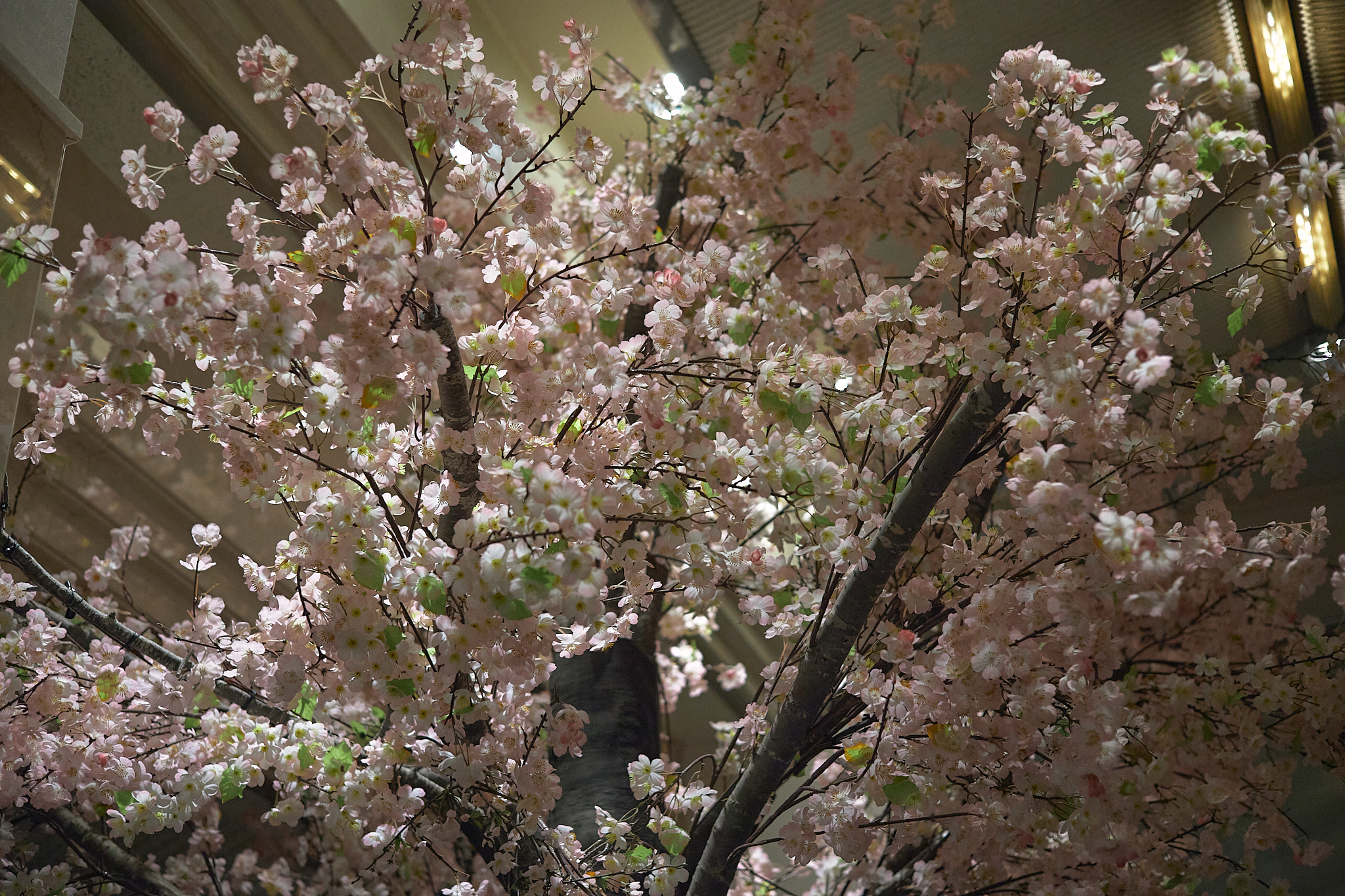 3月第2例会 ひたちなかベストライオンズクラブ