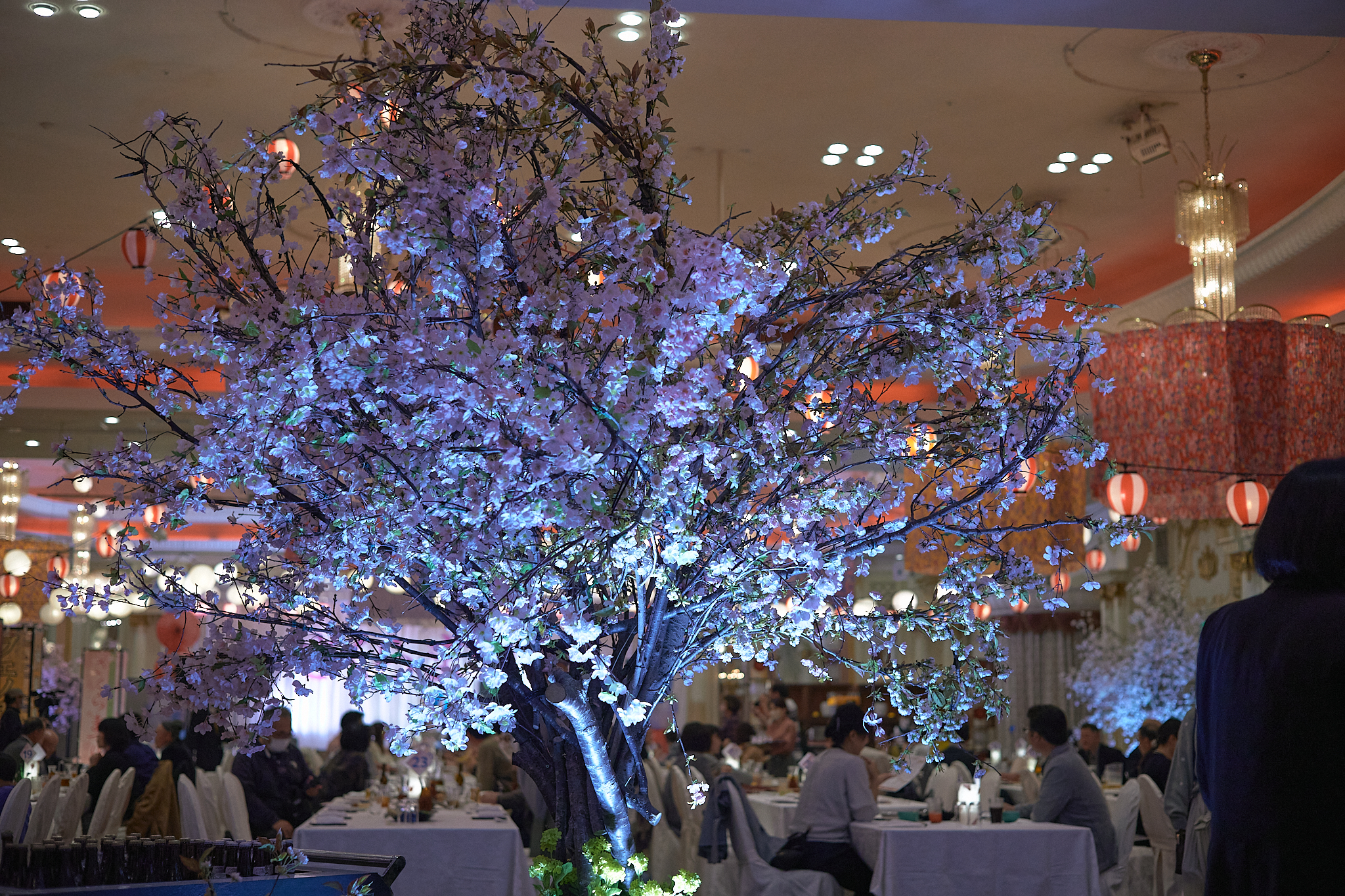 3月第2例会 ひたちなかベストライオンズクラブ