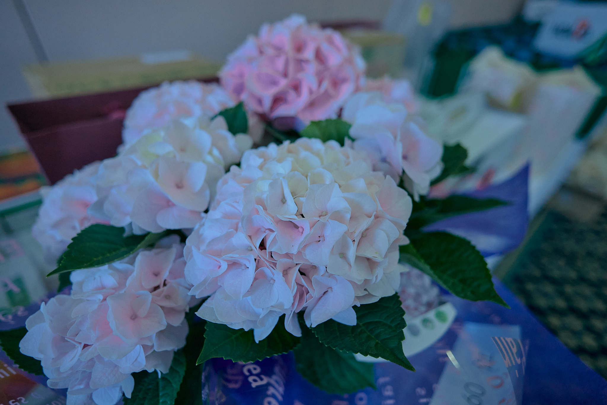 第14回チャリティゴルフ大会 ひたちなかベストライオンズクラブ