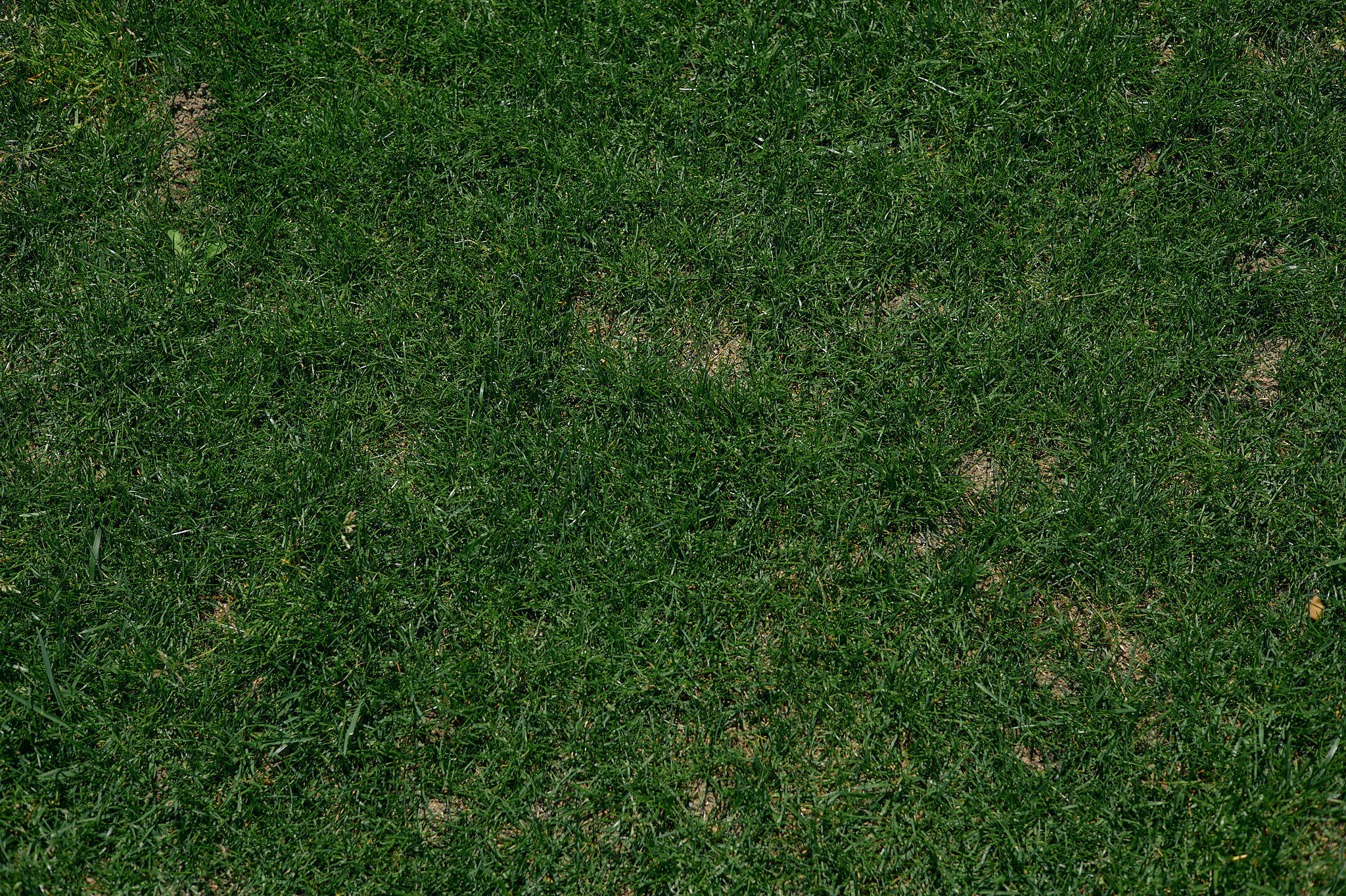 水戸東ライオンズクラブ結成50周年記念式典 ひたちなかベストライオンズクラブ