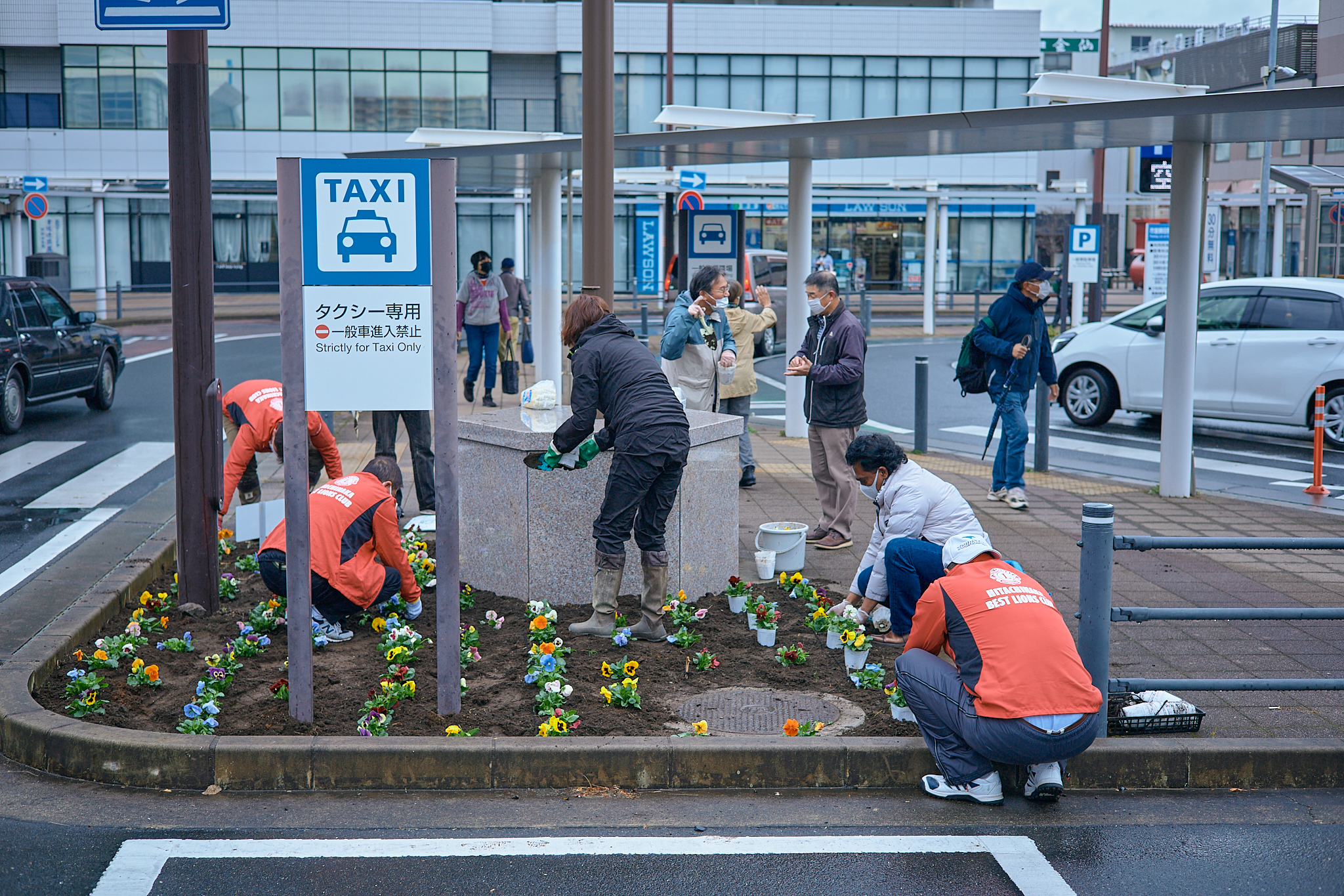 駅前花壇花植え作業 ひたちなかベストライオンズクラブ