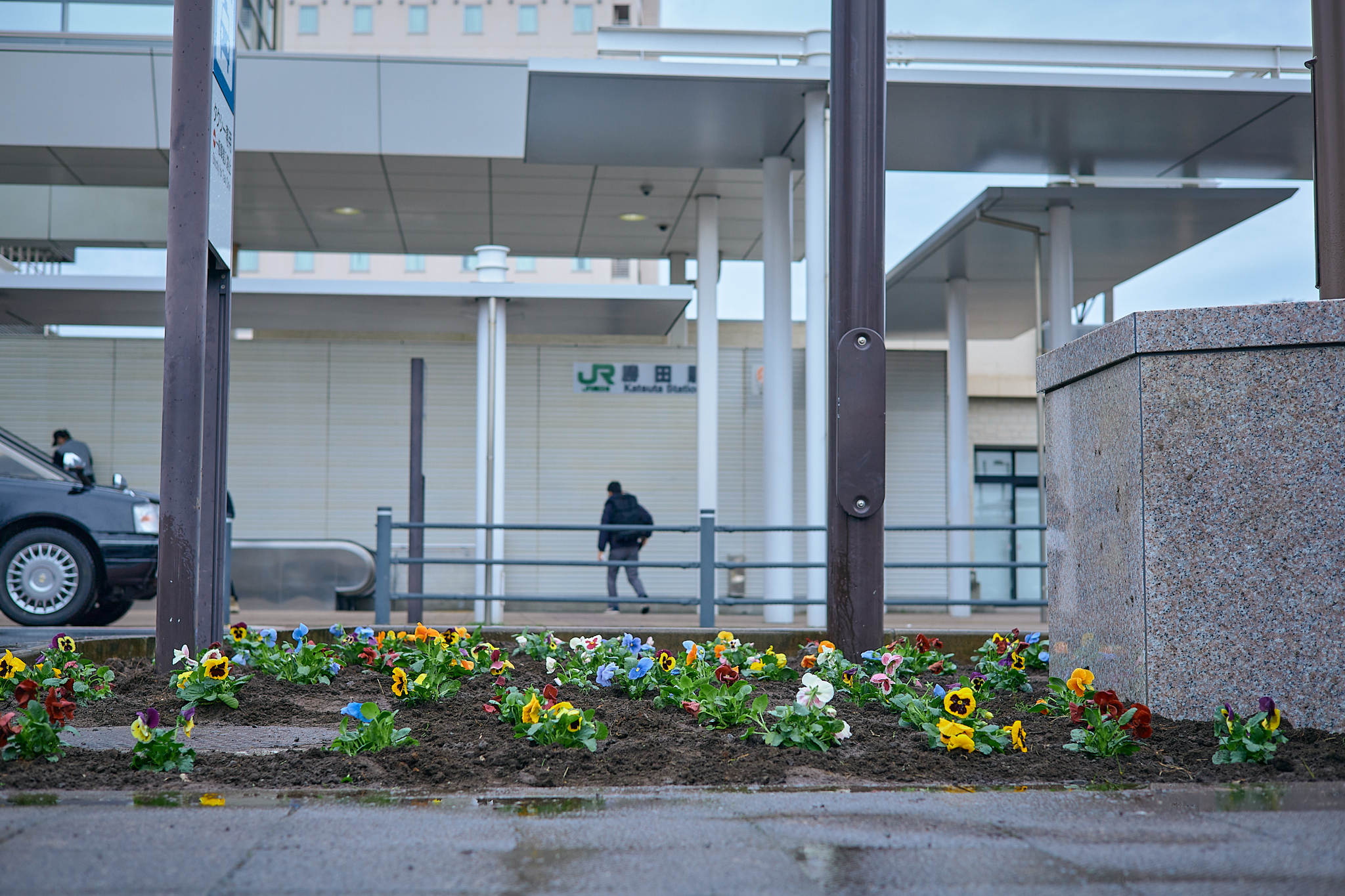 駅前花壇花植え作業 ひたちなかベストライオンズクラブ