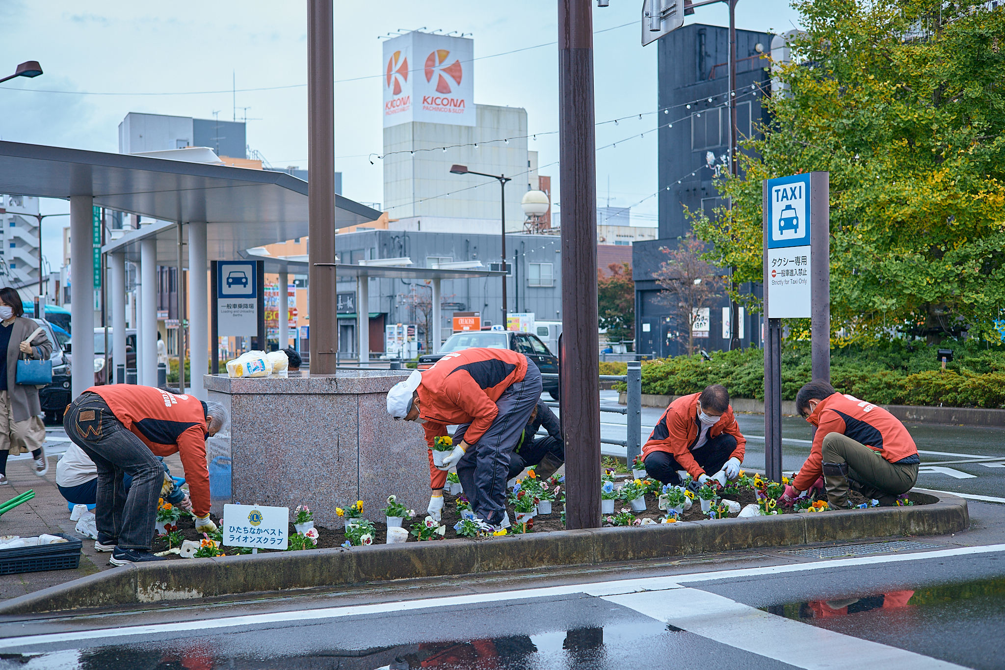 駅前花壇花植え作業 ひたちなかベストライオンズクラブ