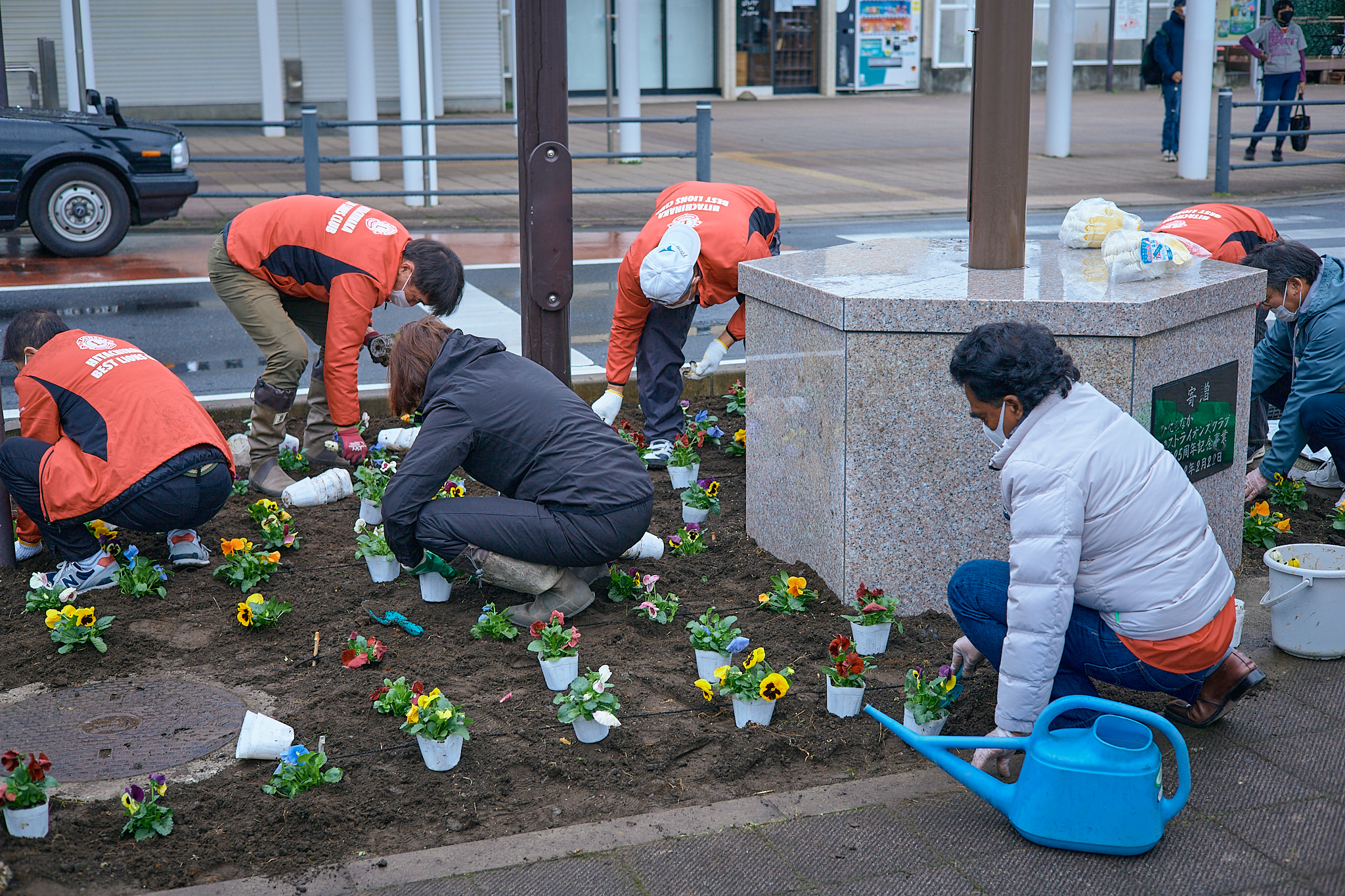 駅前花壇花植え作業 ひたちなかベストライオンズクラブ