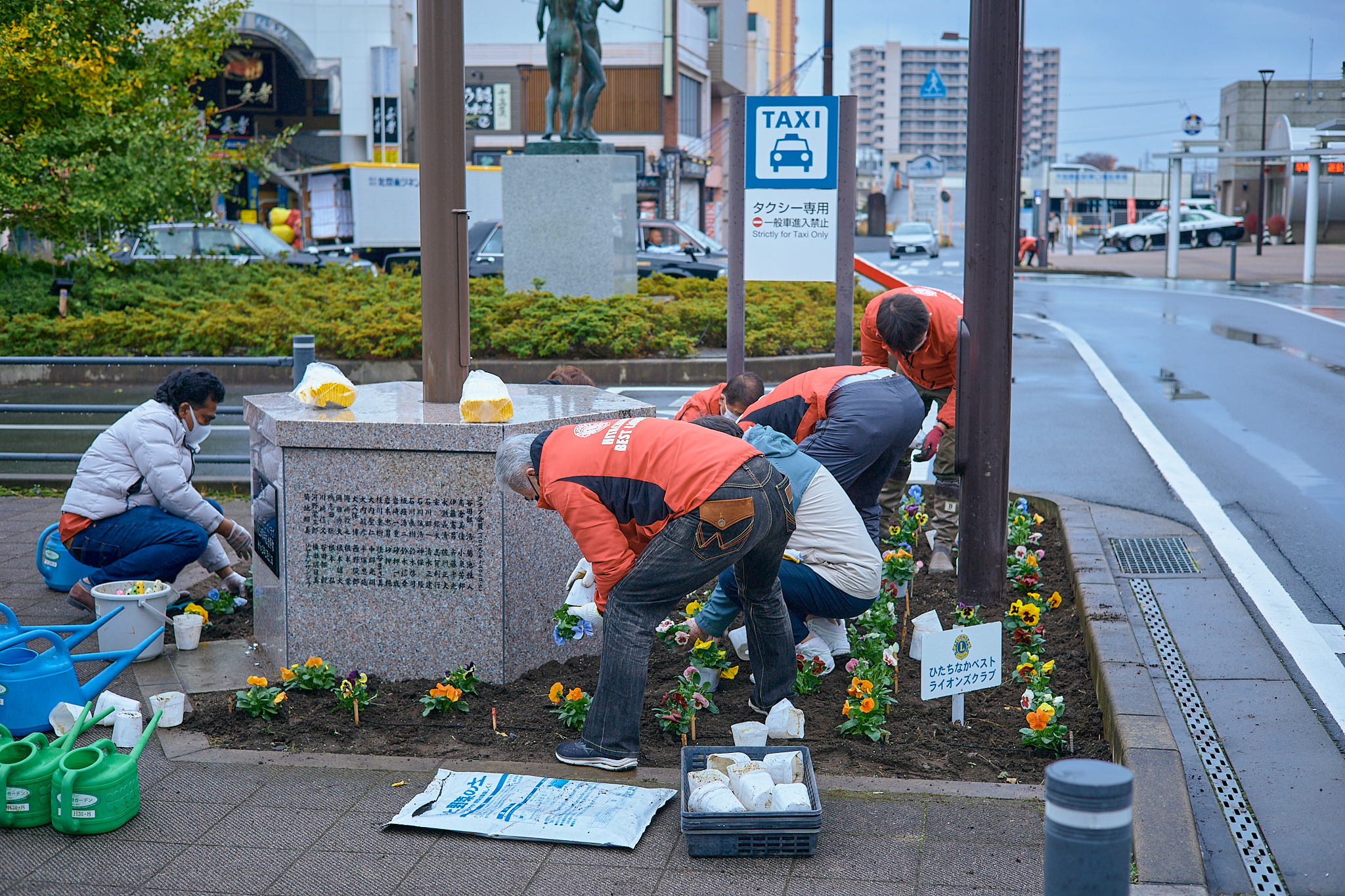 駅前花壇花植え作業 ひたちなかベストライオンズクラブ