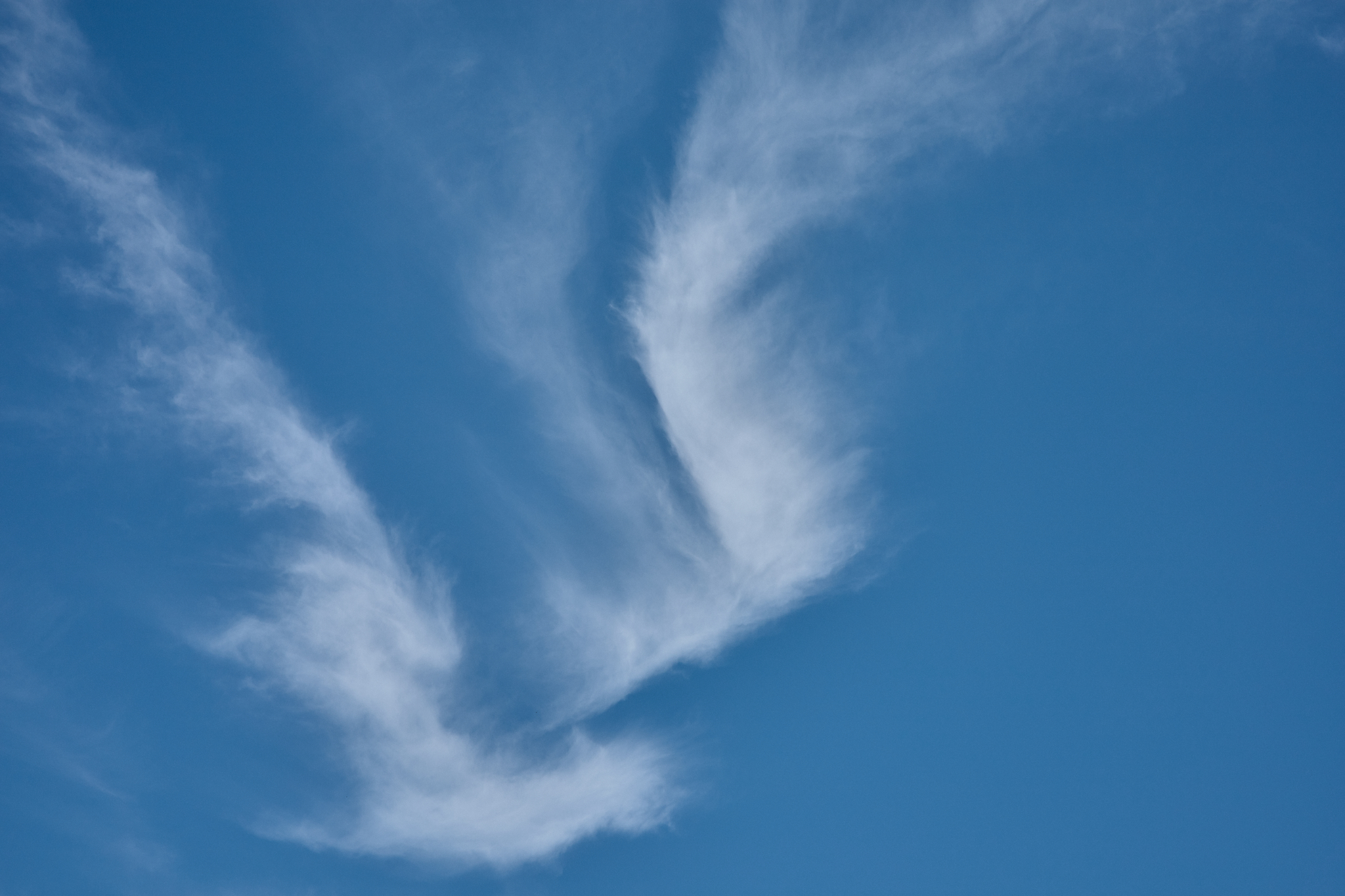 献血事業 ひたちなかベストライオンズクラブ 茨城 ひたちなか ライオンズクラブ