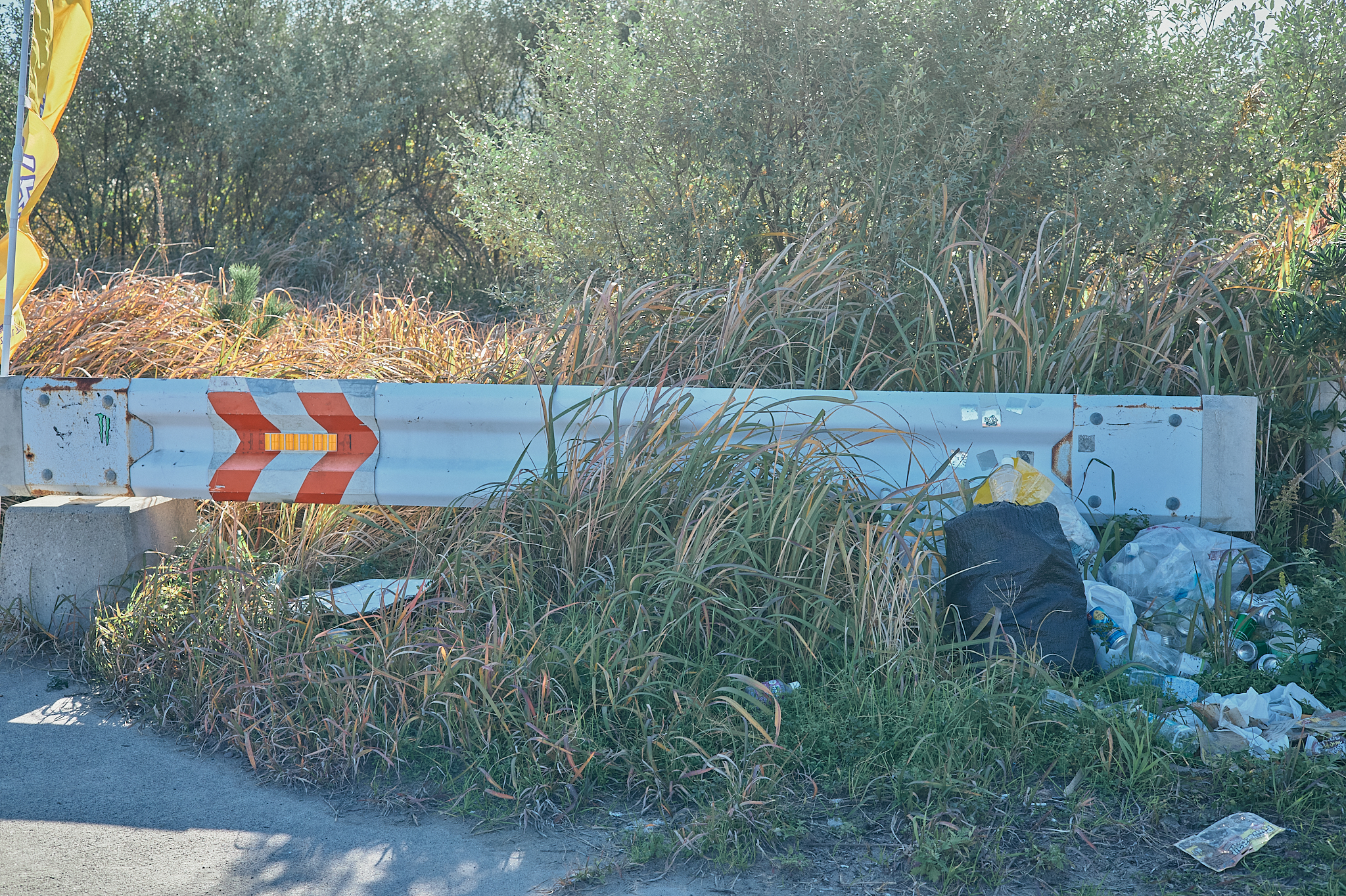 2Z合同アクティビティ（新川河口クリーン作戦）ひたちなかベストライオンズクラブ 茨城 ひたちなか 東海ライオンズクラブ
