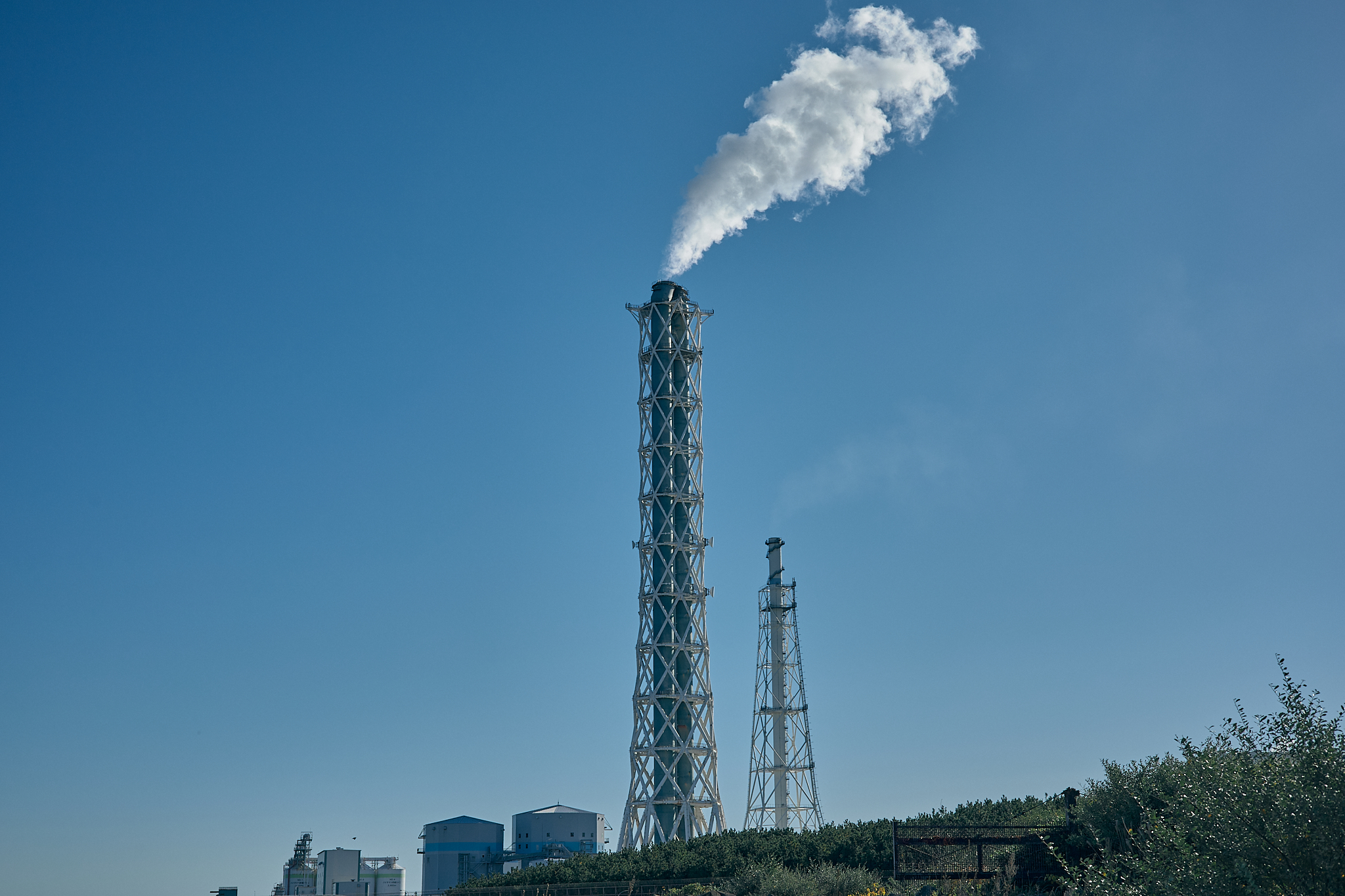 2Z合同アクティビティ（新川河口クリーン作戦）ひたちなかベストライオンズクラブ 茨城 ひたちなか 東海ライオンズクラブ