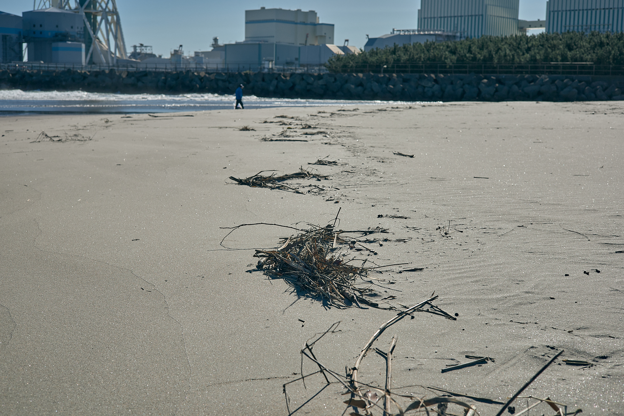 2Z合同アクティビティ（新川河口クリーン作戦）ひたちなかベストライオンズクラブ 茨城 ひたちなか 東海ライオンズクラブ