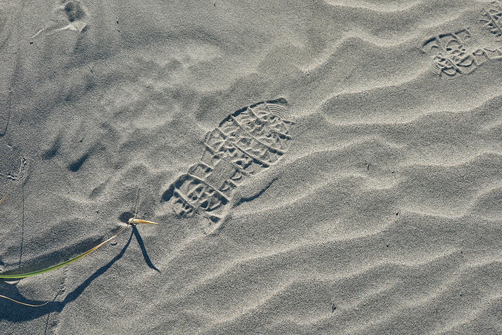 2Z合同アクティビティ（新川河口クリーン作戦）ひたちなかベストライオンズクラブ 茨城 ひたちなか 東海ライオンズクラブ