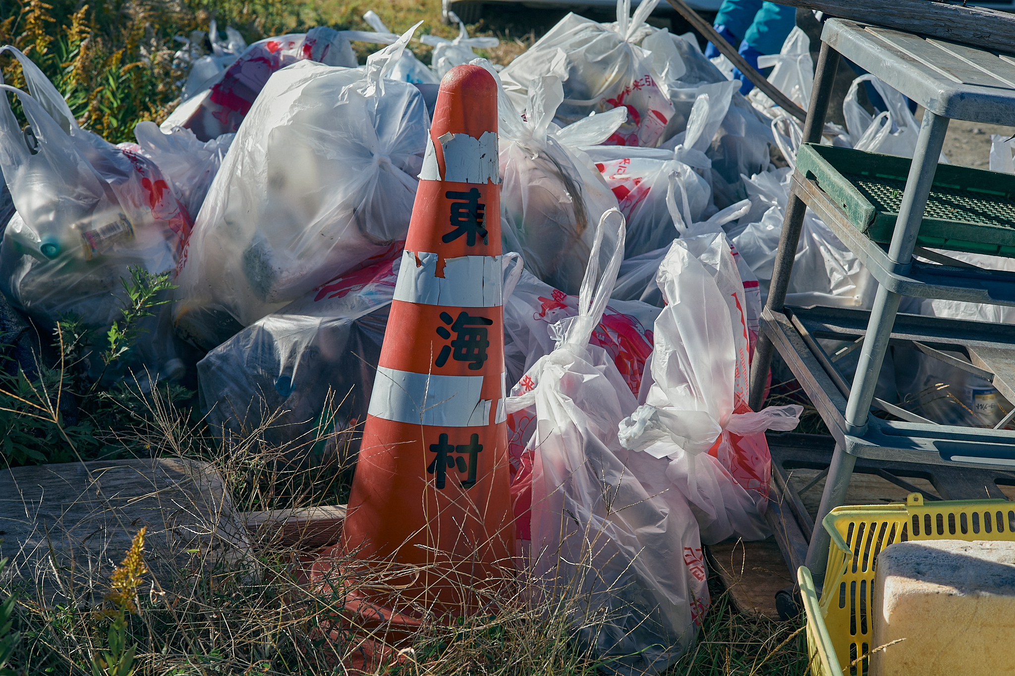 2Z合同アクティビティ（新川河口クリーン作戦）ひたちなかベストライオンズクラブ 茨城 ひたちなか 東海ライオンズクラブ