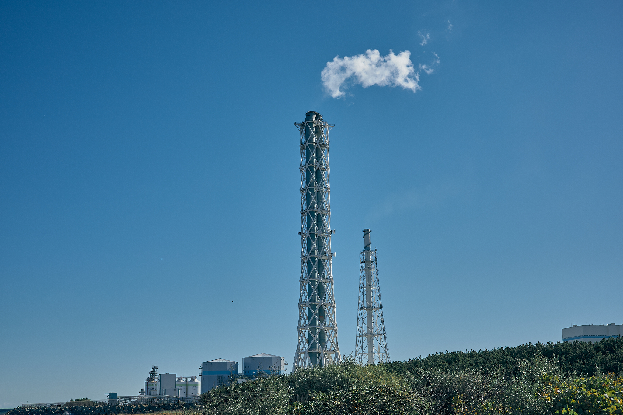 2Z合同アクティビティ（新川河口クリーン作戦）ひたちなかベストライオンズクラブ 茨城 ひたちなか 東海ライオンズクラブ