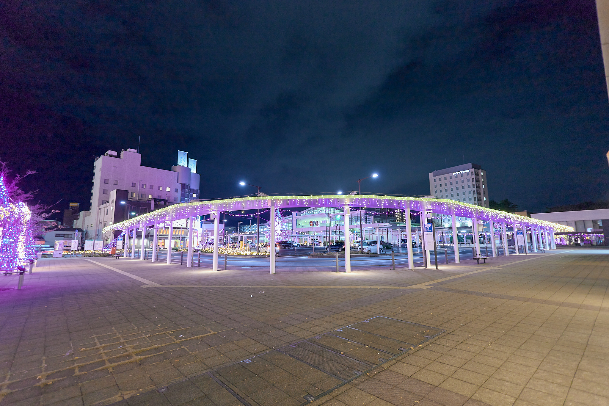 12月第2例会 ひたちなかベストライオンズクラブ 茨城 ひたちなか