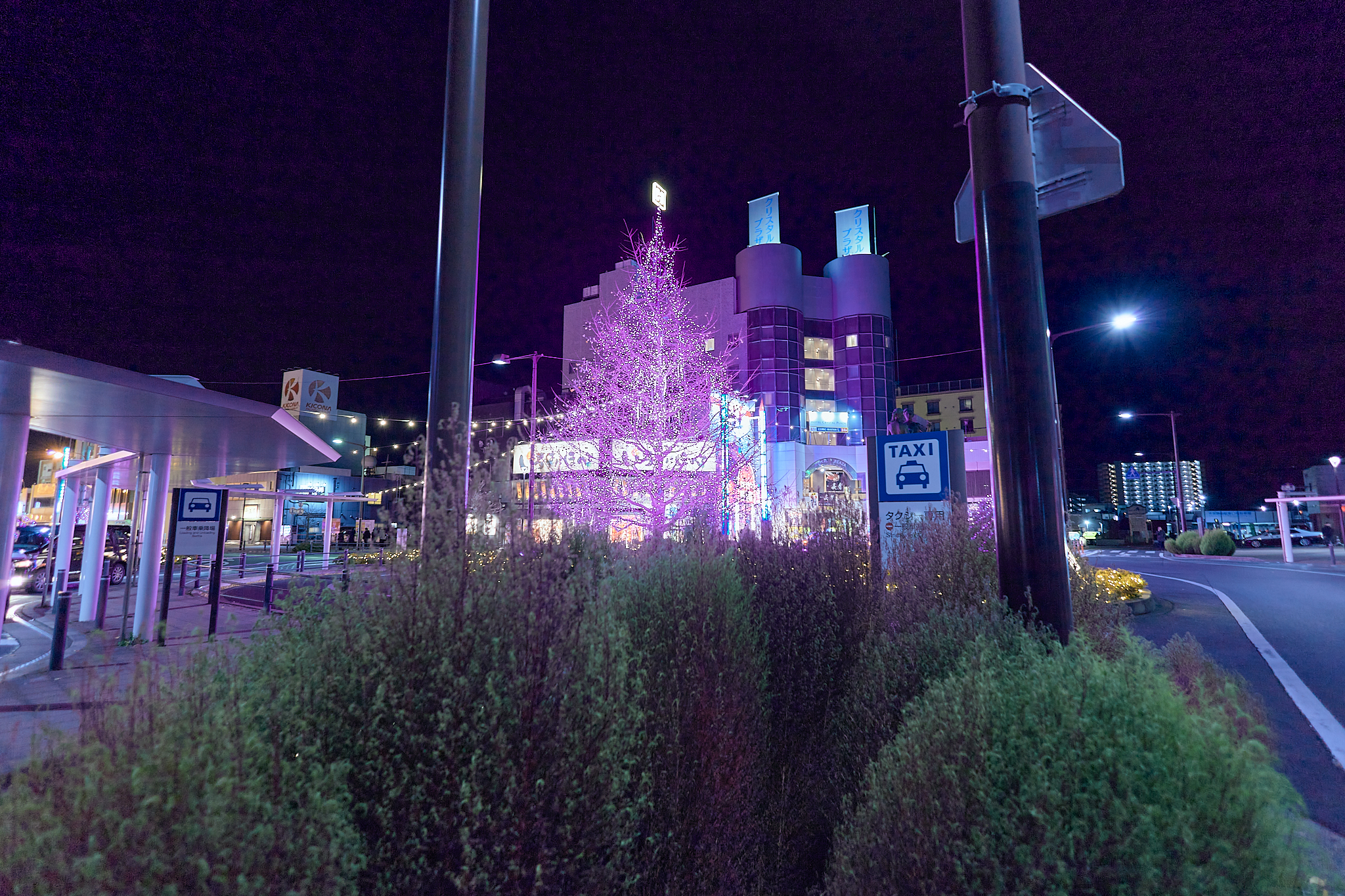 12月第2例会 ひたちなかベストライオンズクラブ 茨城 ひたちなか