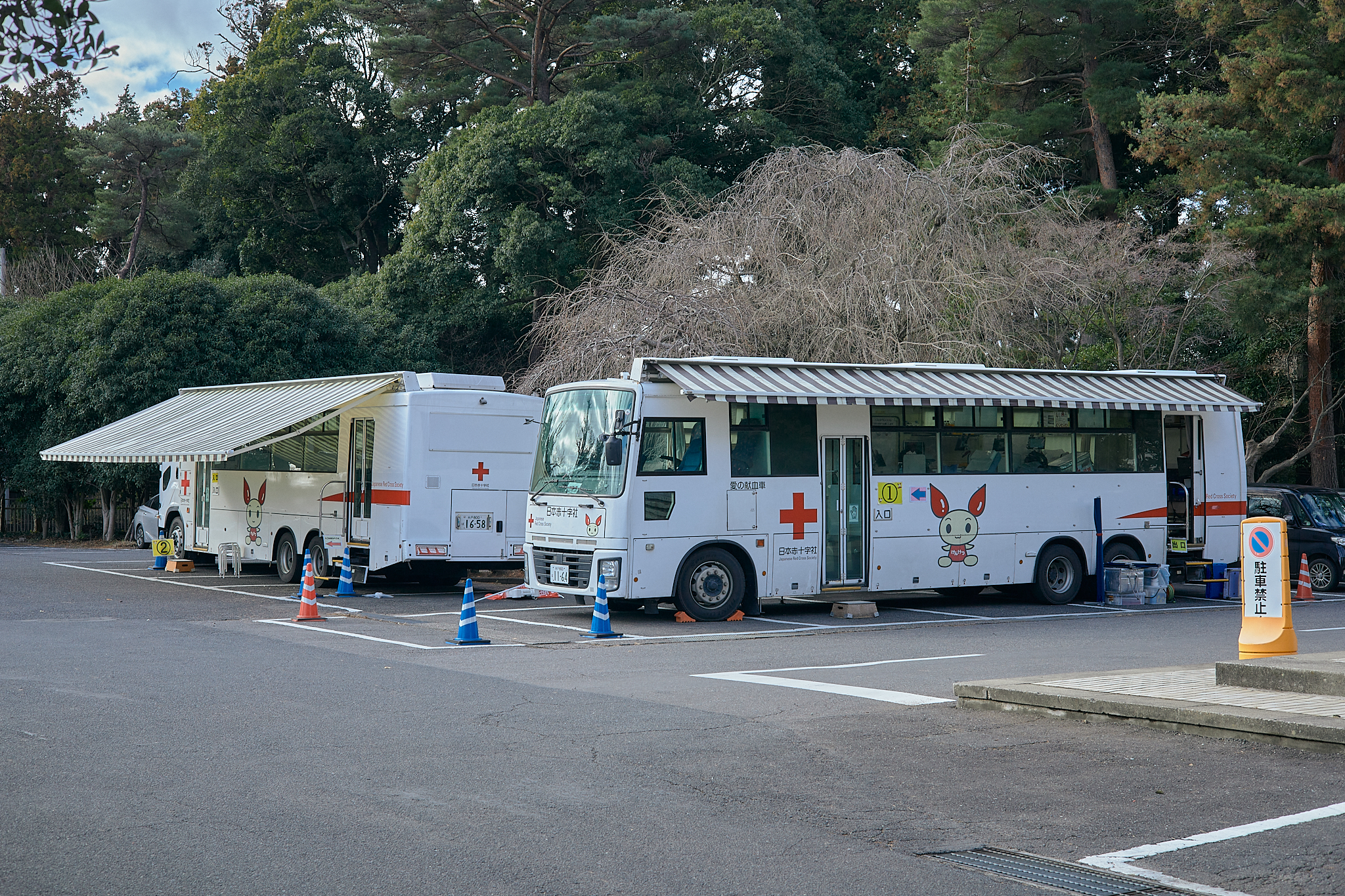 献血事業 ひたちなかベストライオンズクラブ 茨城 ひたちなか ライオンズクラブ