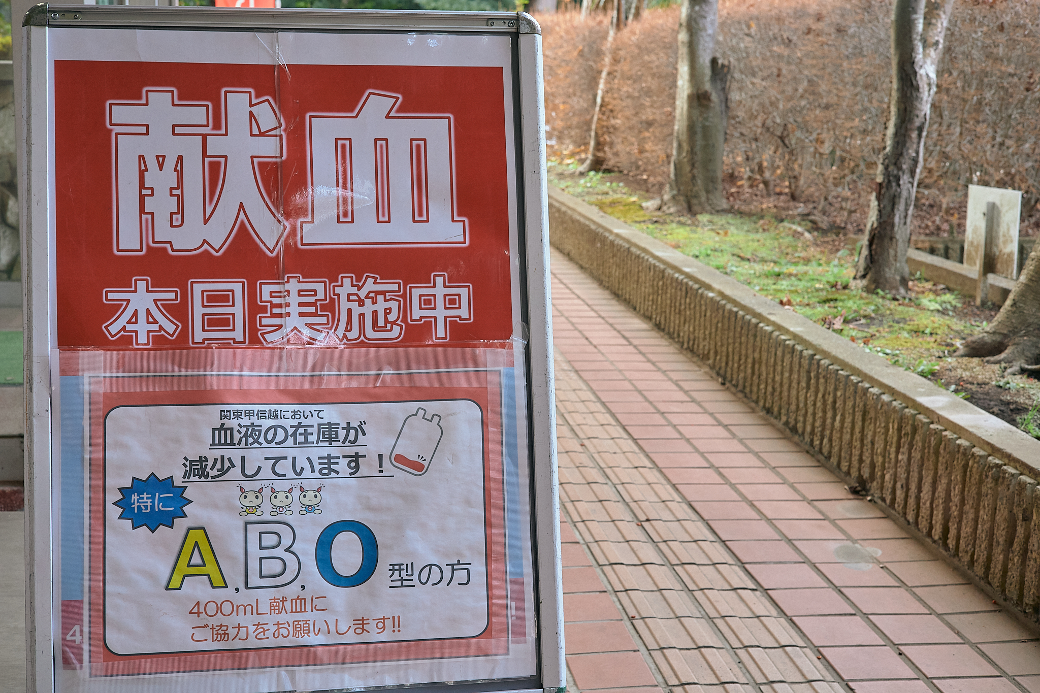 献血事業 ひたちなかベストライオンズクラブ 茨城 ひたちなか ライオンズクラブ