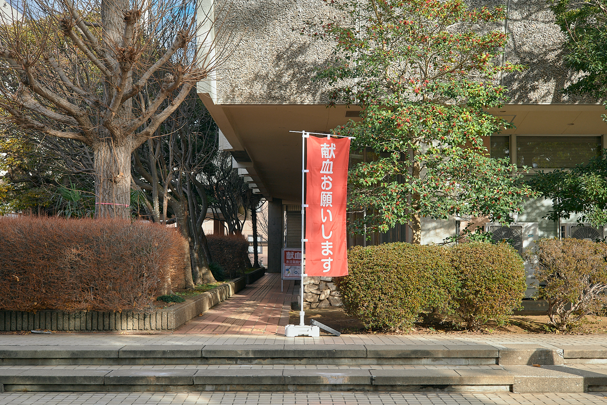 献血事業 ひたちなかベストライオンズクラブ 茨城 ひたちなか ライオンズクラブ