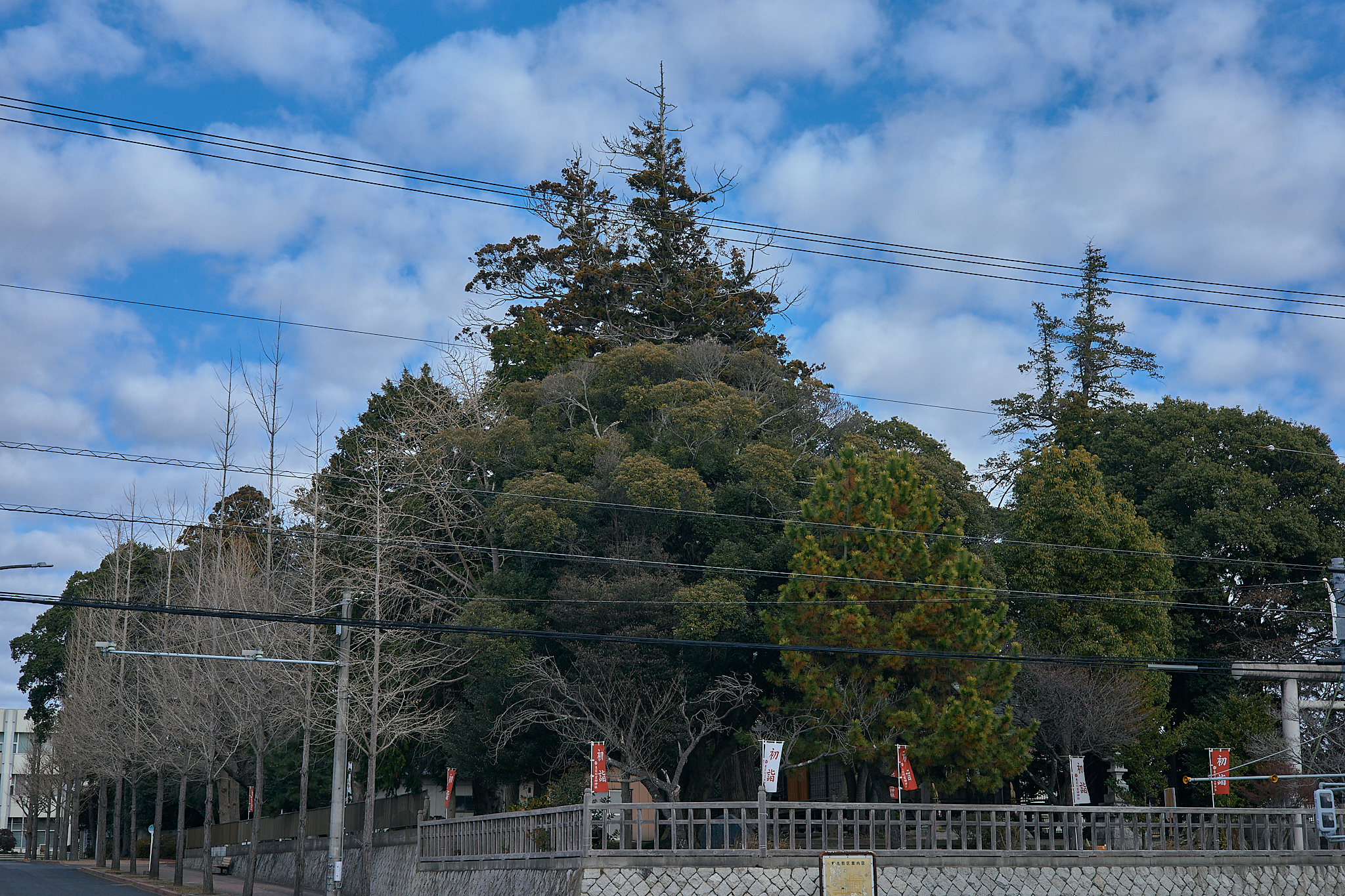 献血事業 ひたちなかベストライオンズクラブ 茨城 ひたちなか ライオンズクラブ