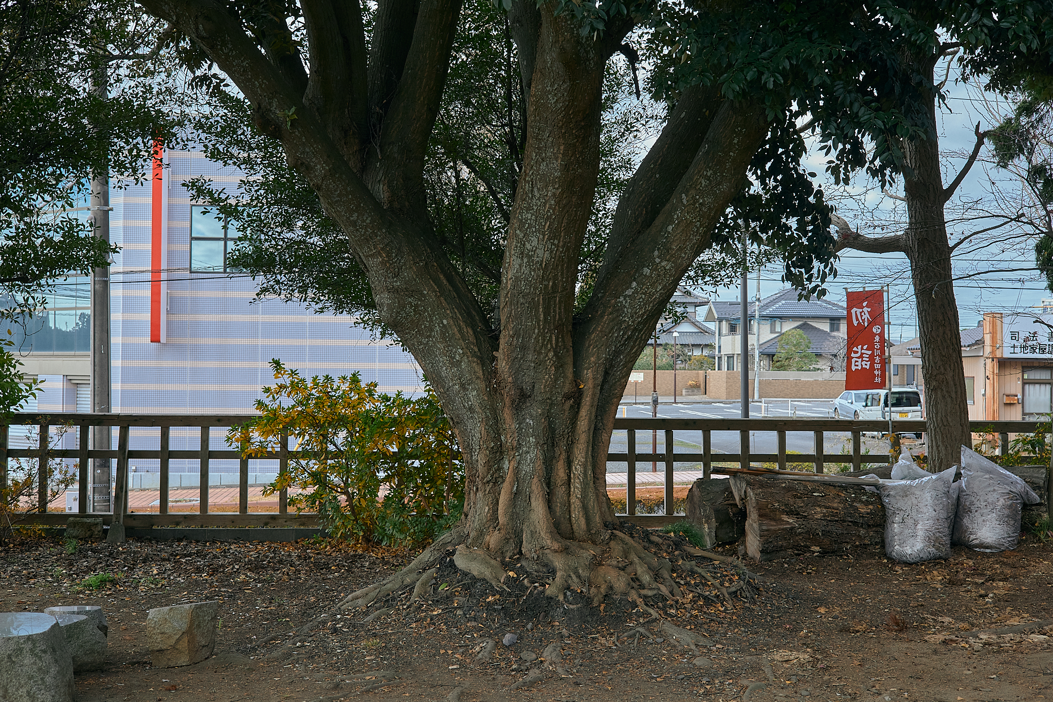 献血事業 ひたちなかベストライオンズクラブ 茨城 ひたちなか ライオンズクラブ