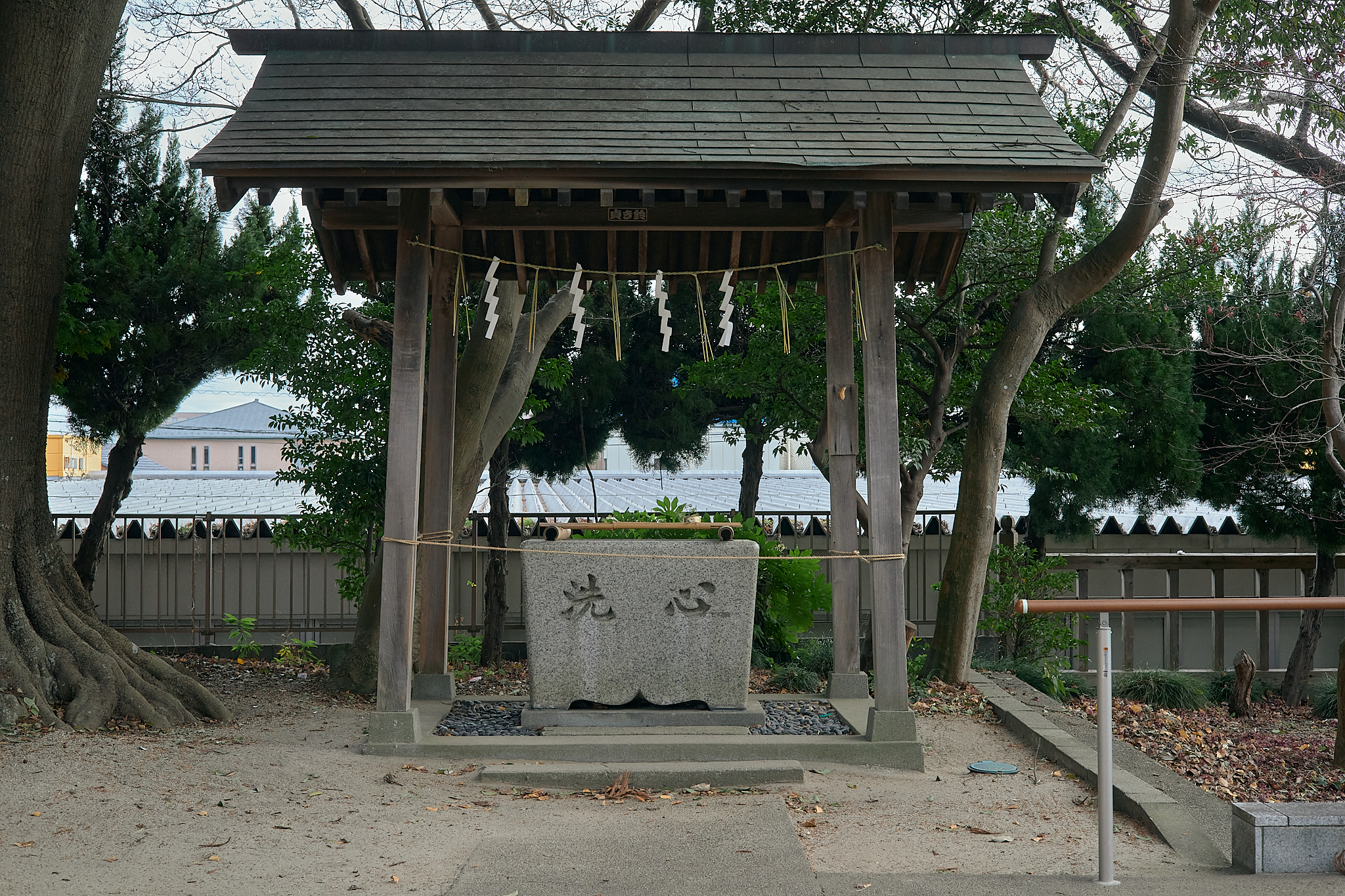 献血事業 ひたちなかベストライオンズクラブ 茨城 ひたちなか ライオンズクラブ