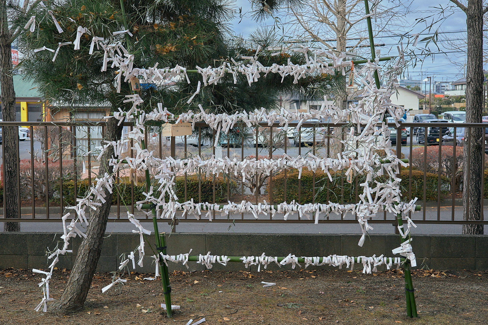 献血事業 ひたちなかベストライオンズクラブ 茨城 ひたちなか ライオンズクラブ