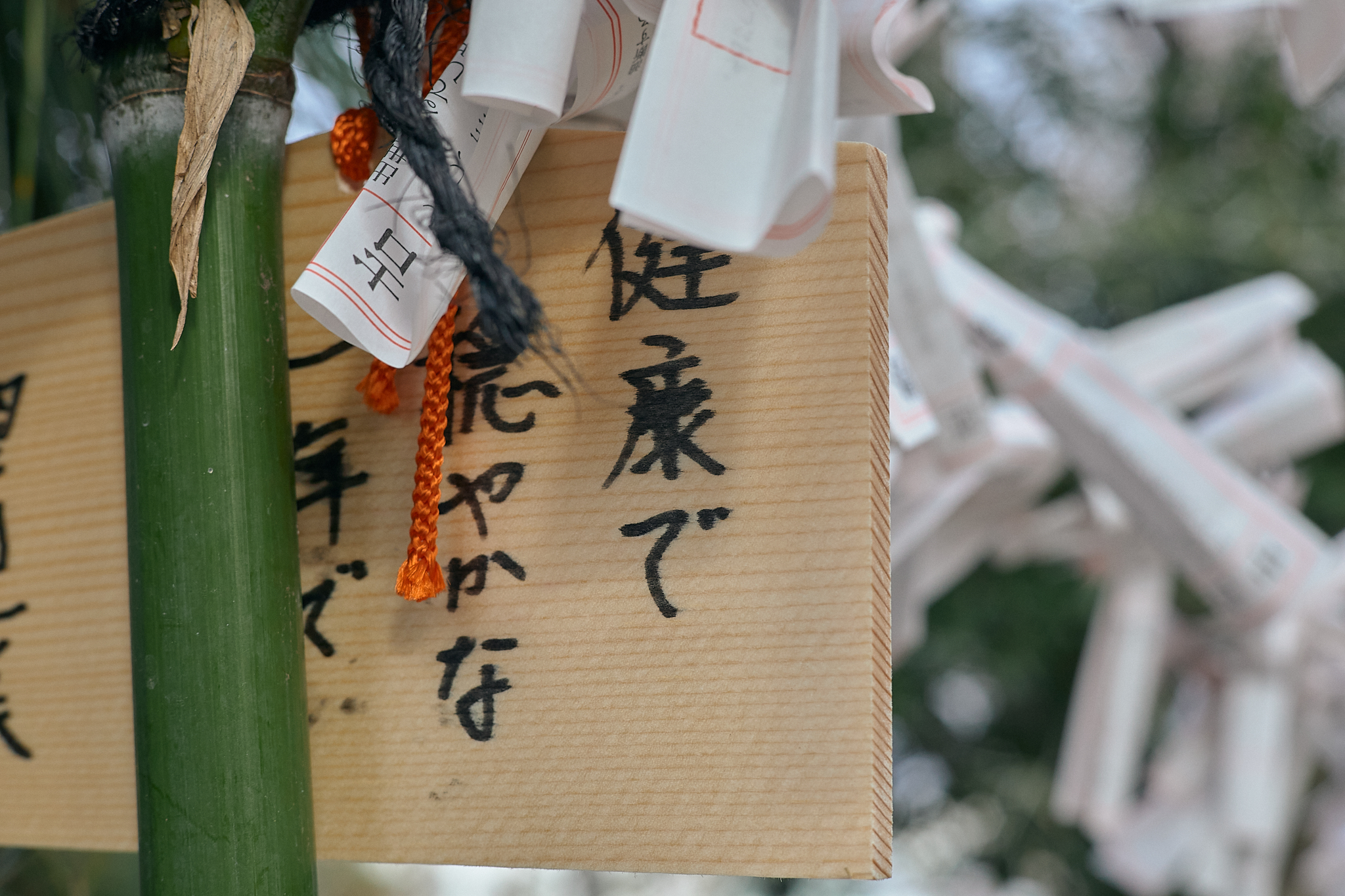 献血事業 ひたちなかベストライオンズクラブ 茨城 ひたちなか ライオンズクラブ