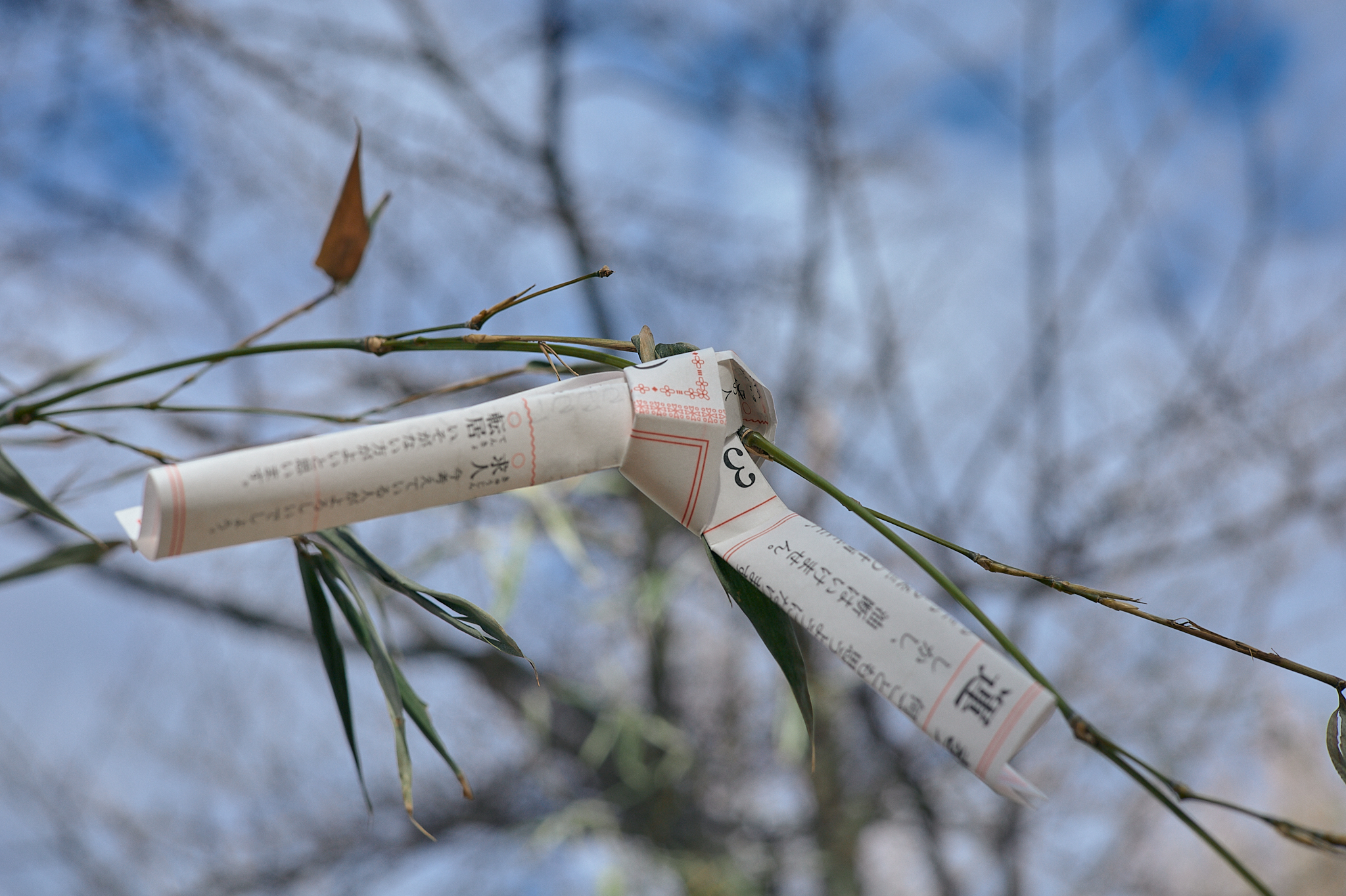 献血事業 ひたちなかベストライオンズクラブ 茨城 ひたちなか ライオンズクラブ