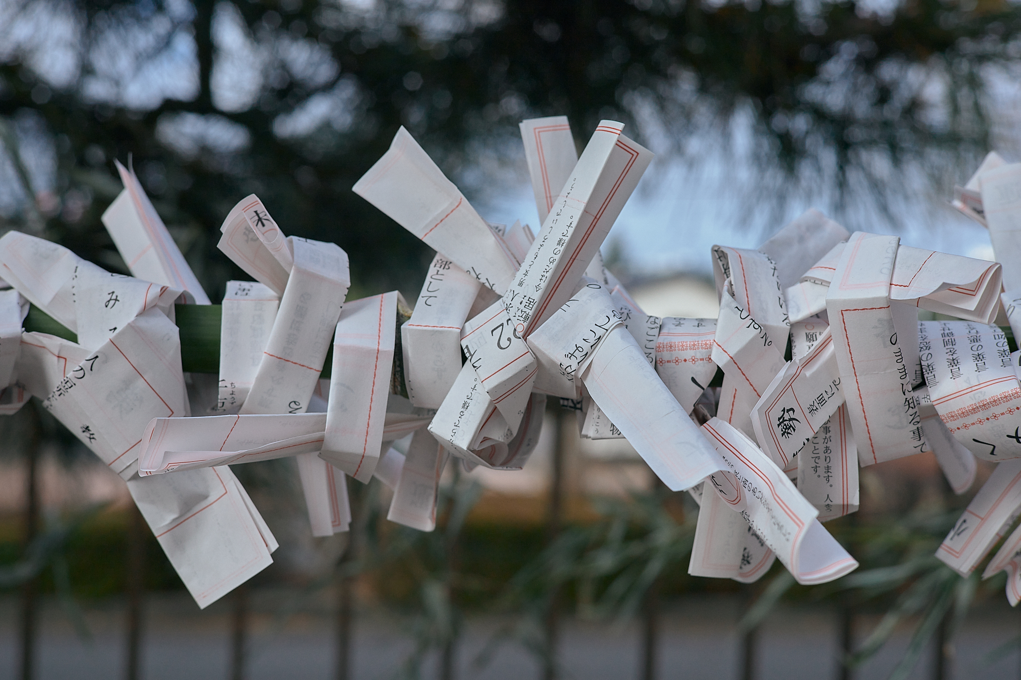 献血事業 ひたちなかベストライオンズクラブ 茨城 ひたちなか ライオンズクラブ