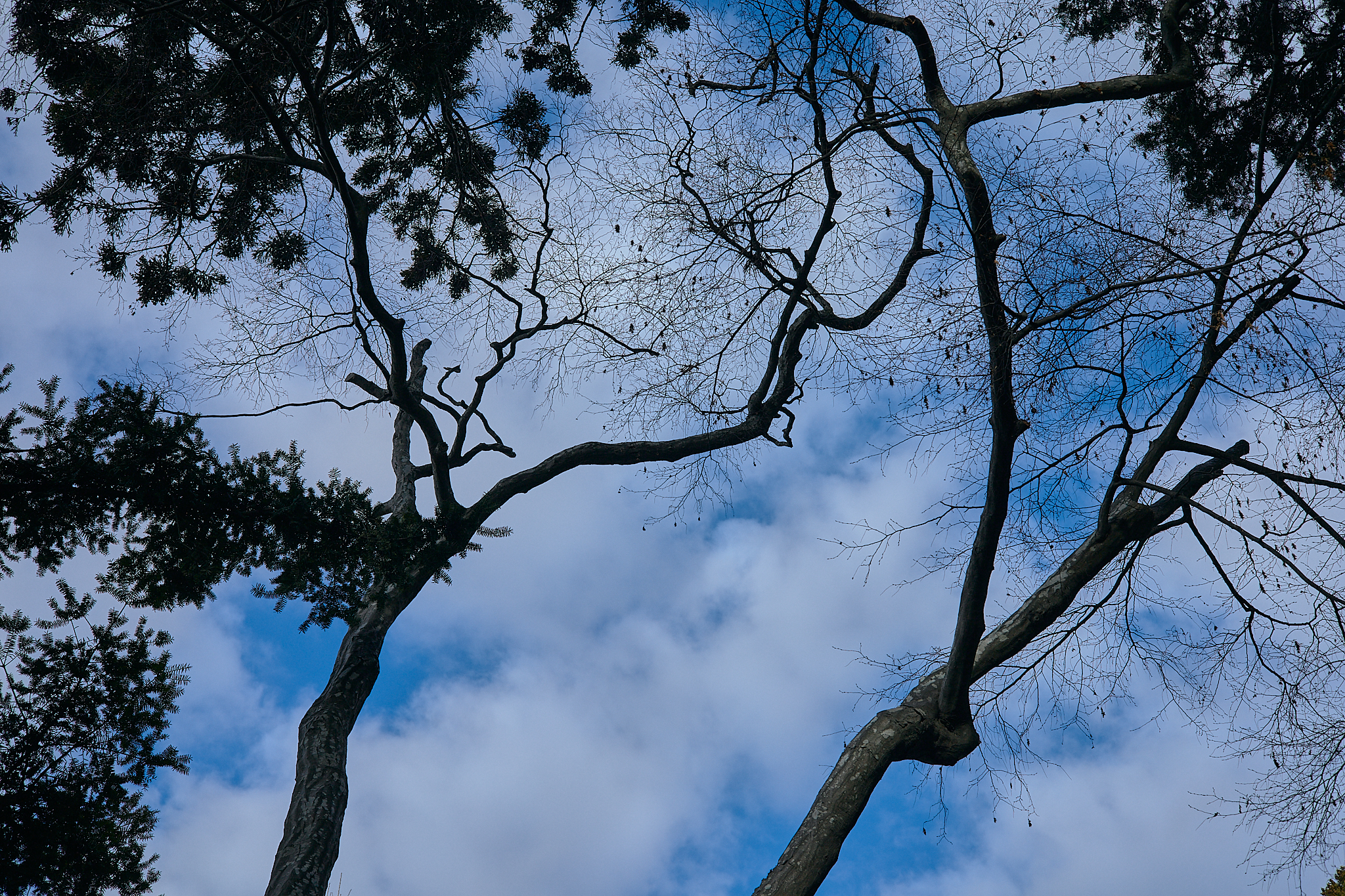 献血事業 ひたちなかベストライオンズクラブ 茨城 ひたちなか ライオンズクラブ