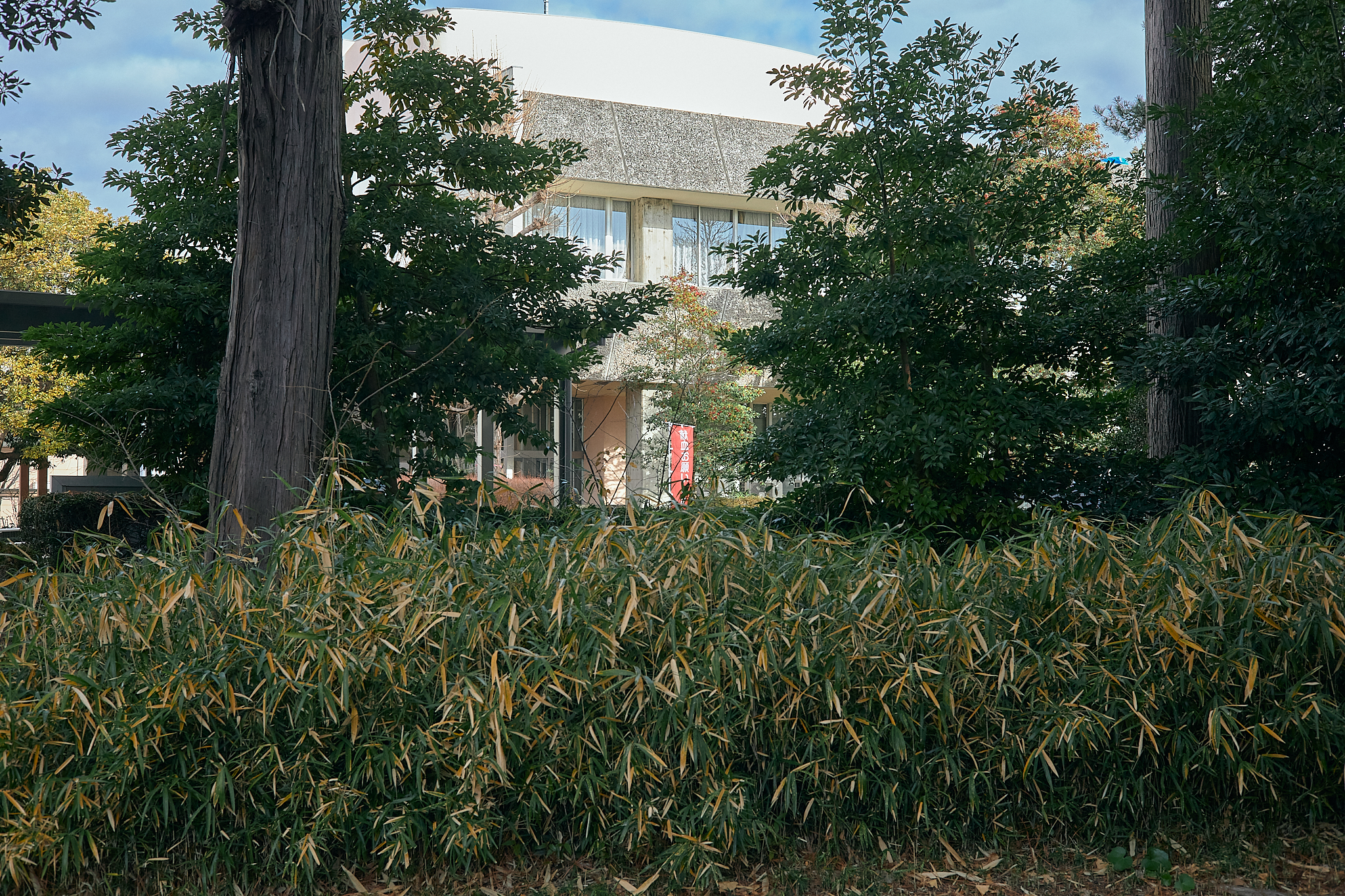 献血事業 ひたちなかベストライオンズクラブ 茨城 ひたちなか ライオンズクラブ