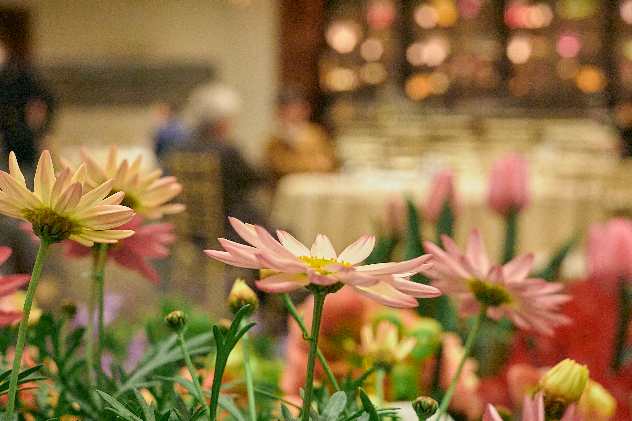1月理事会・第1例会 ひたちなかベストライオンズクラブ 茨城 ひたちなか ライオンズクラブ
